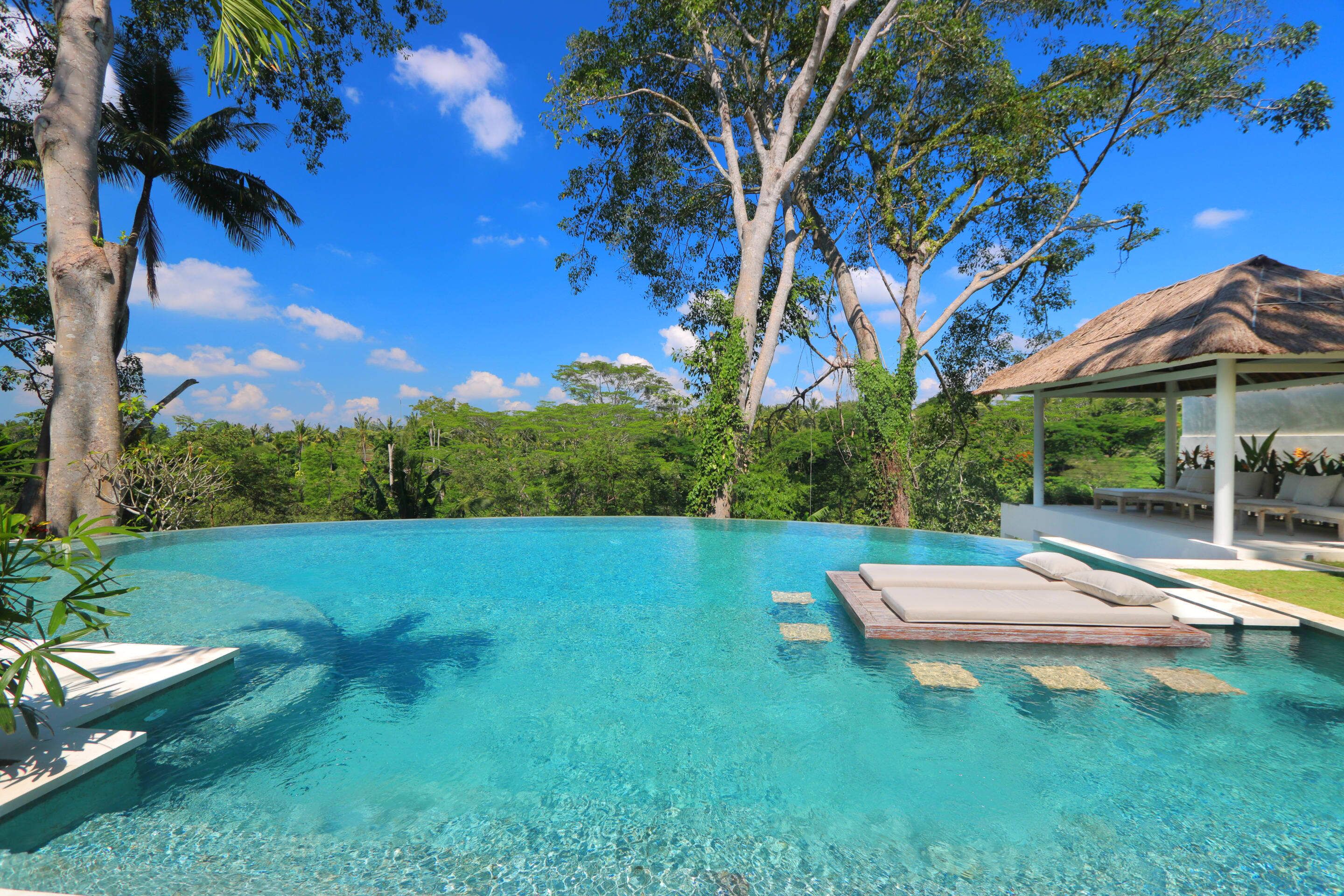 Astonishing Jungle Villa