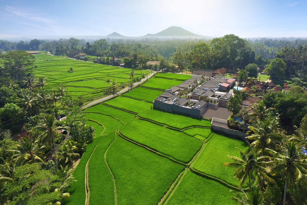 Asvara Villa Ubud