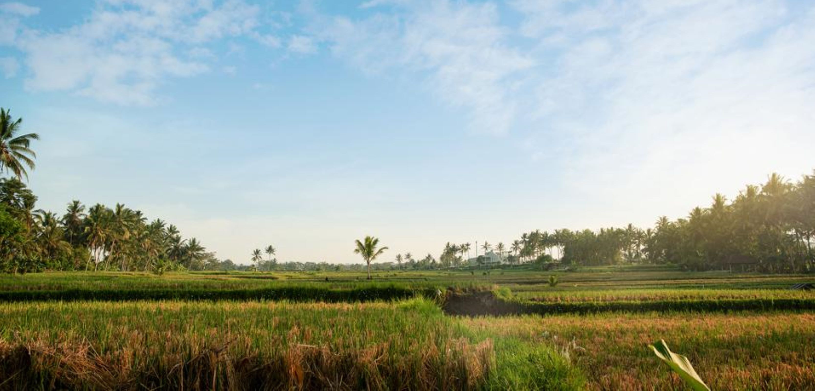 Ayu Duwur Beji