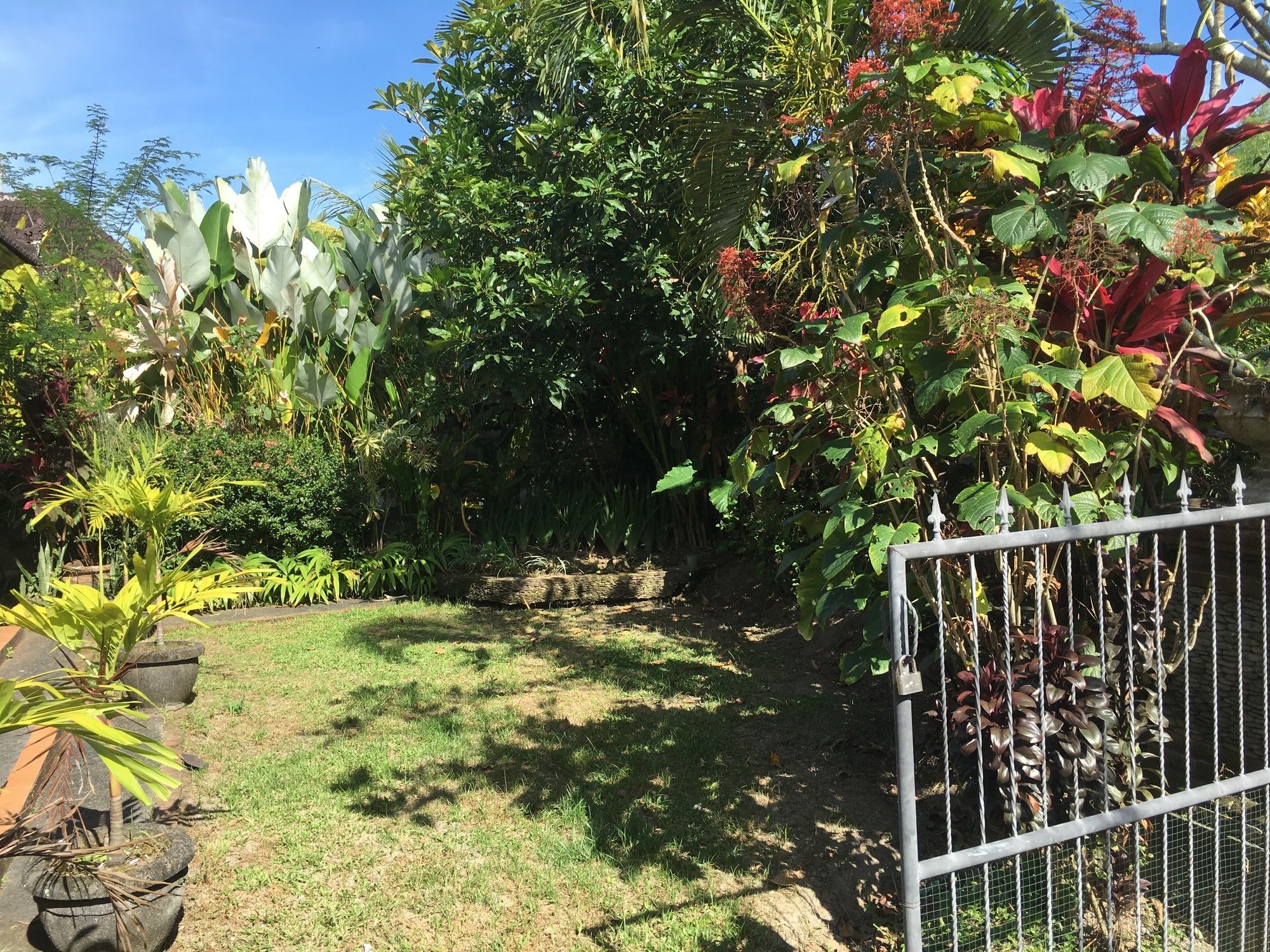 Ayung House