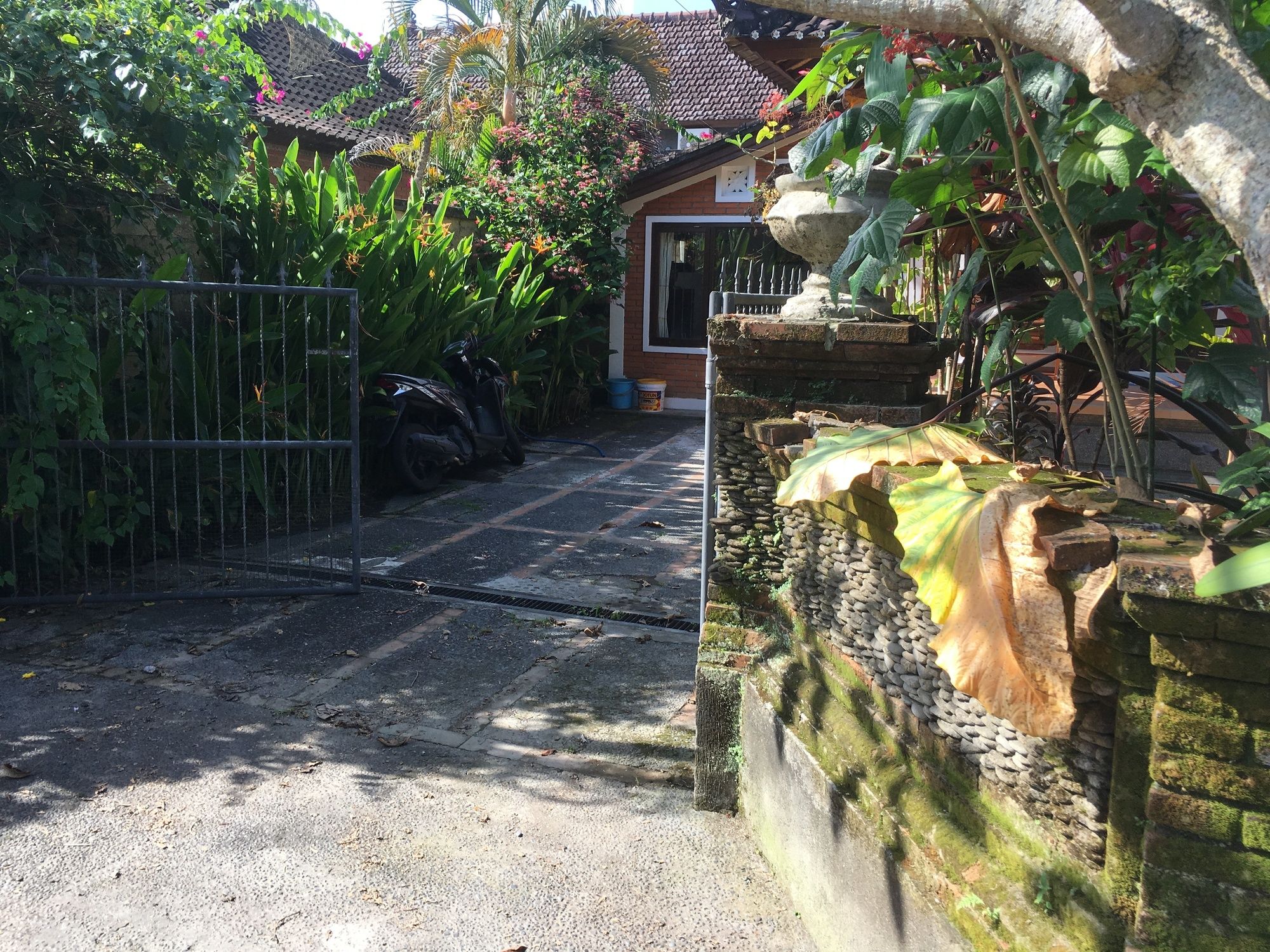 Ayung House