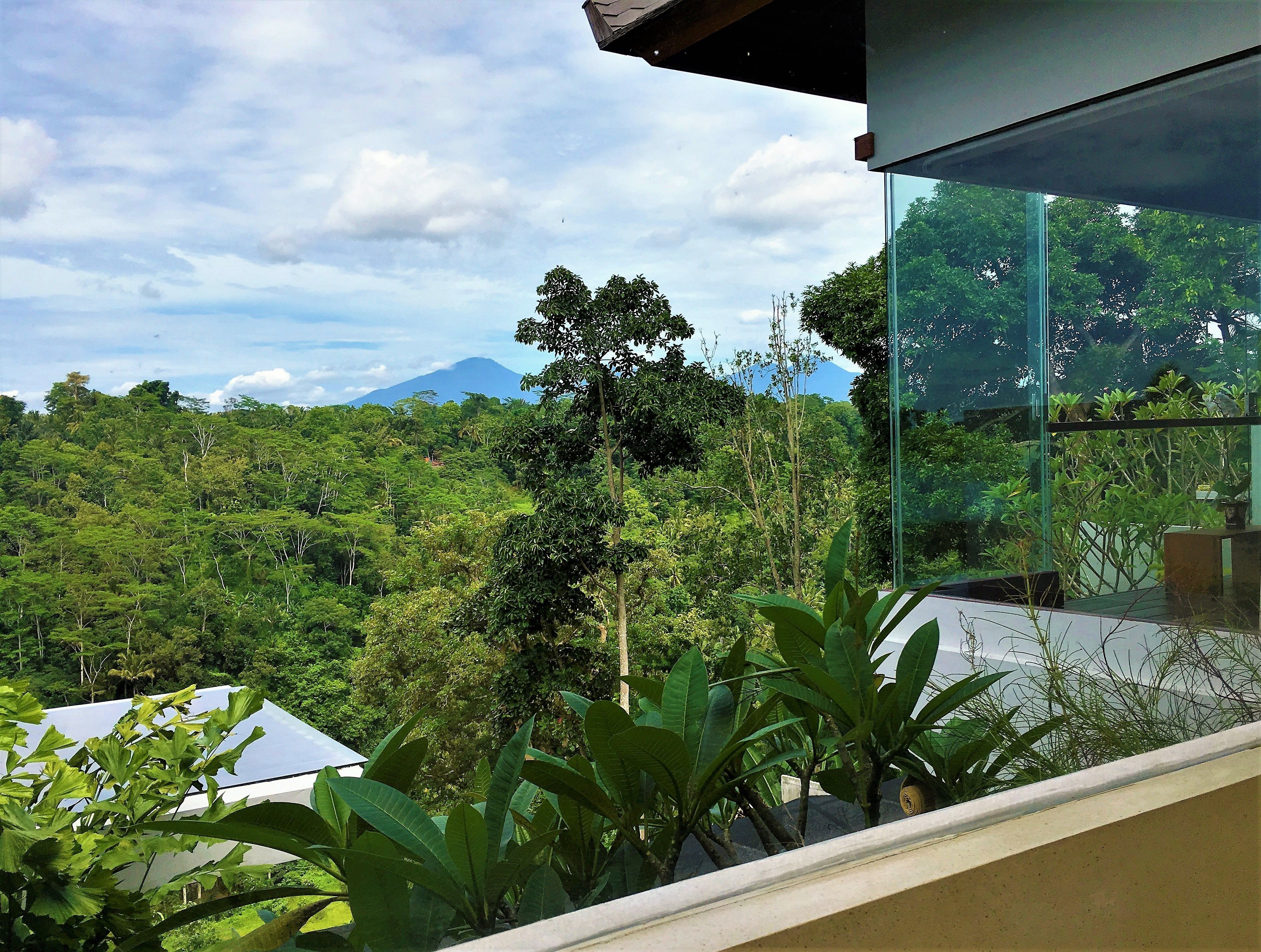Ayuterra Resort