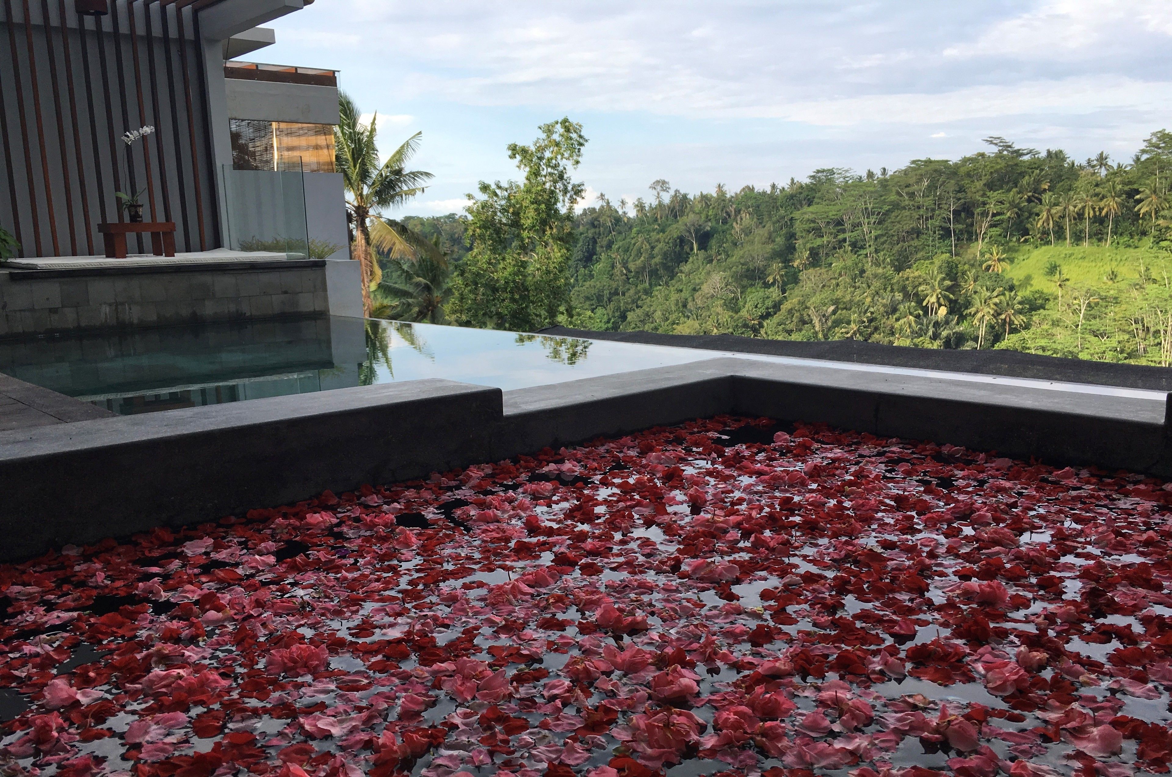 Ayuterra Resort
