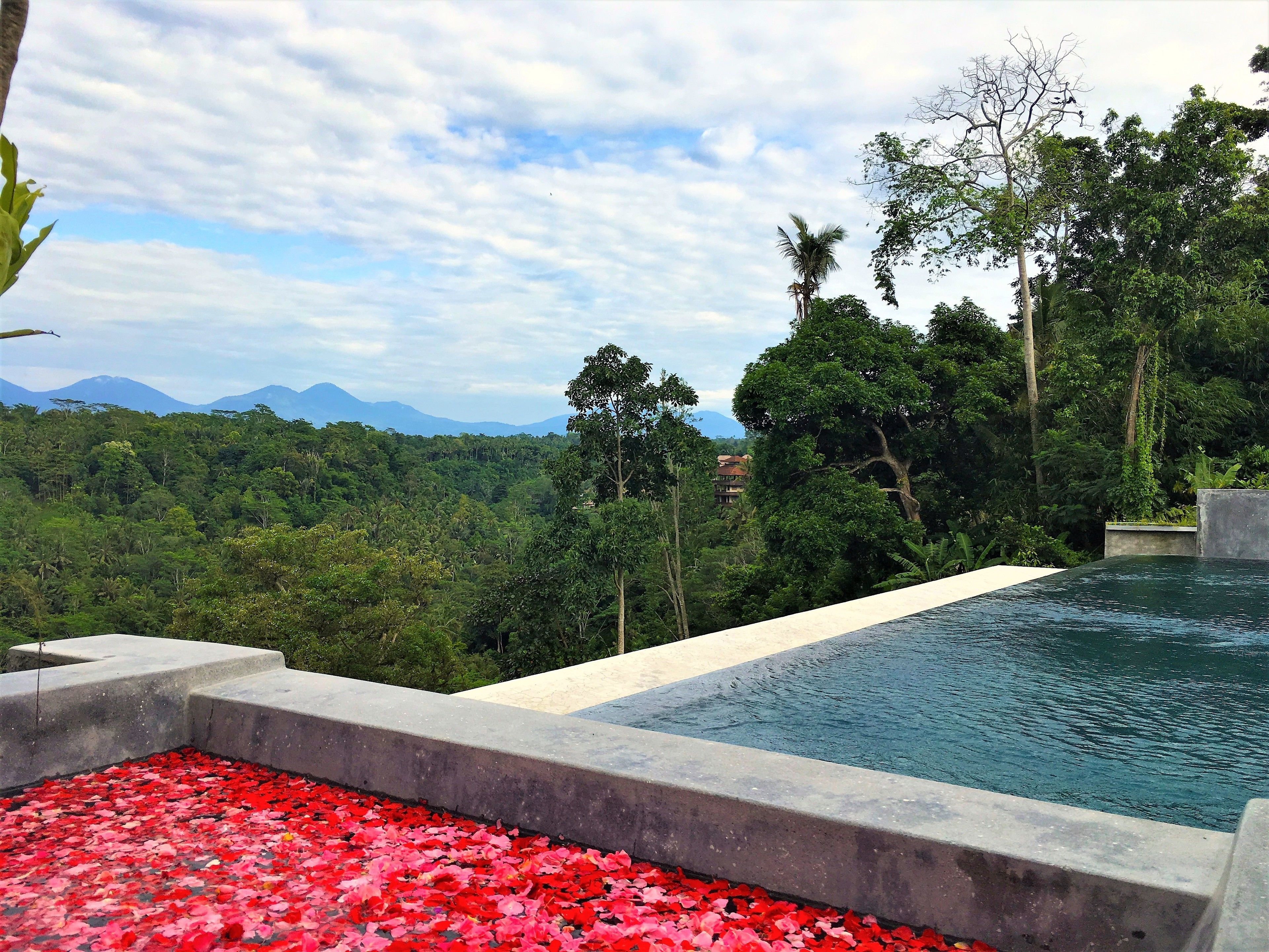 Ayuterra Resort
