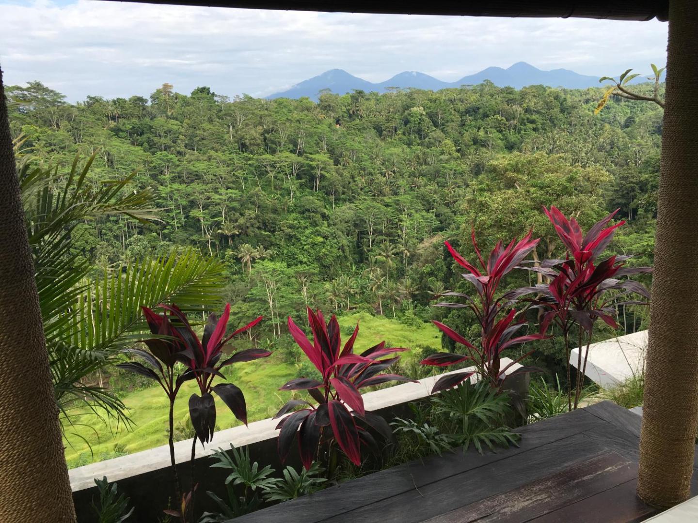 Ayuterra Resort