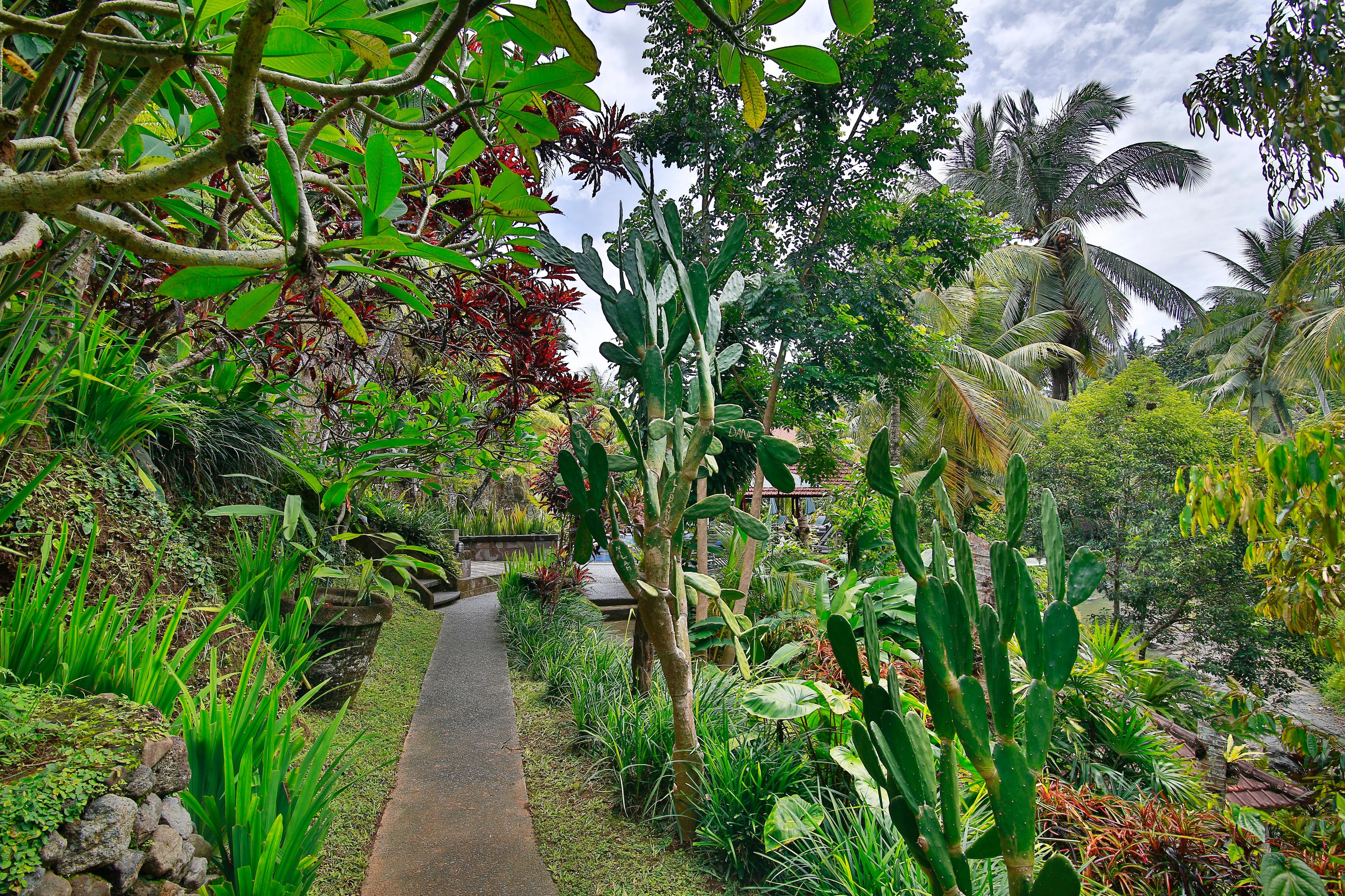 Bali Spirit Hotel and Spa