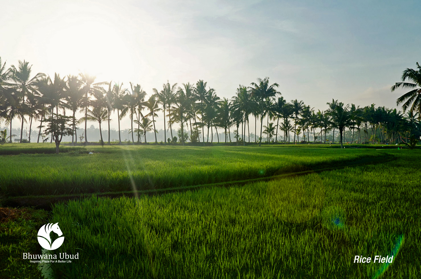 Bhuwana Ubud