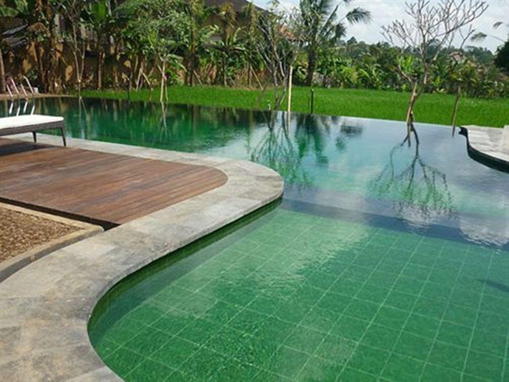 Bliss Ubud Spa Resort