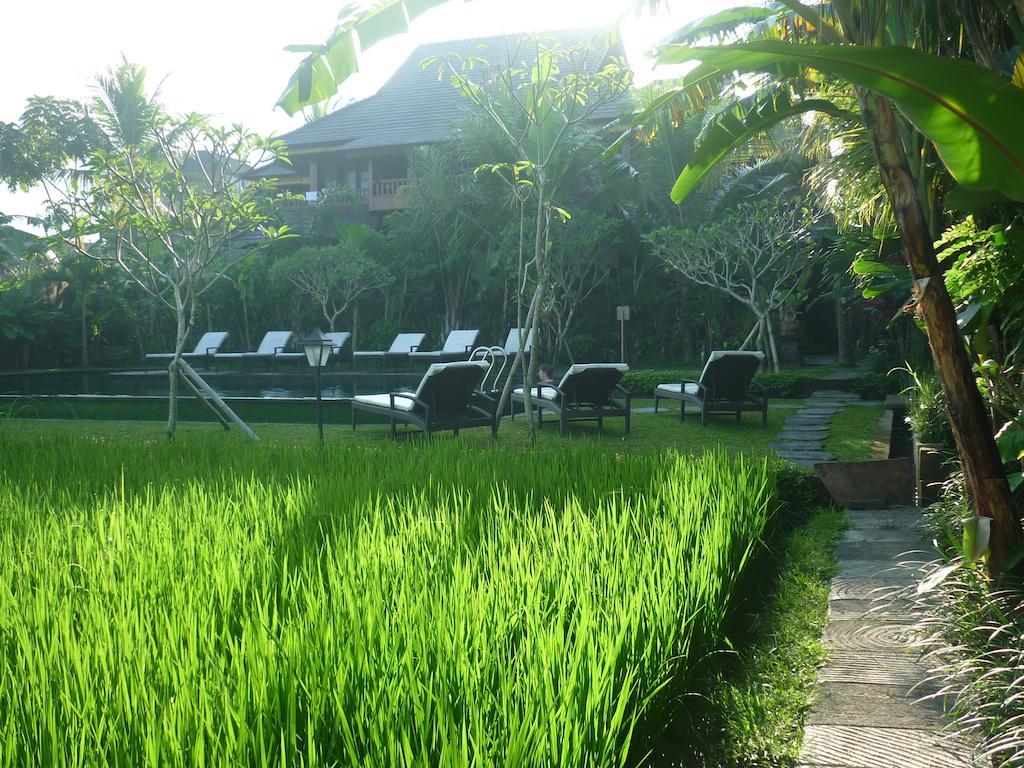 Bliss Ubud Spa Resort