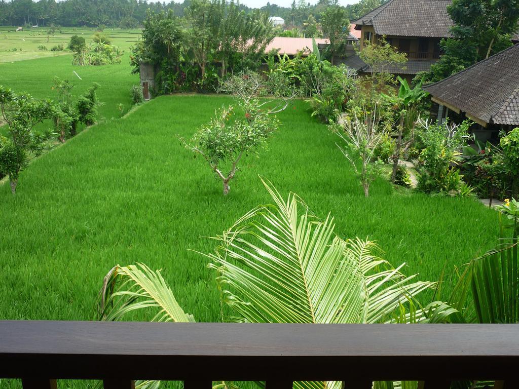 Bliss Ubud Spa Resort