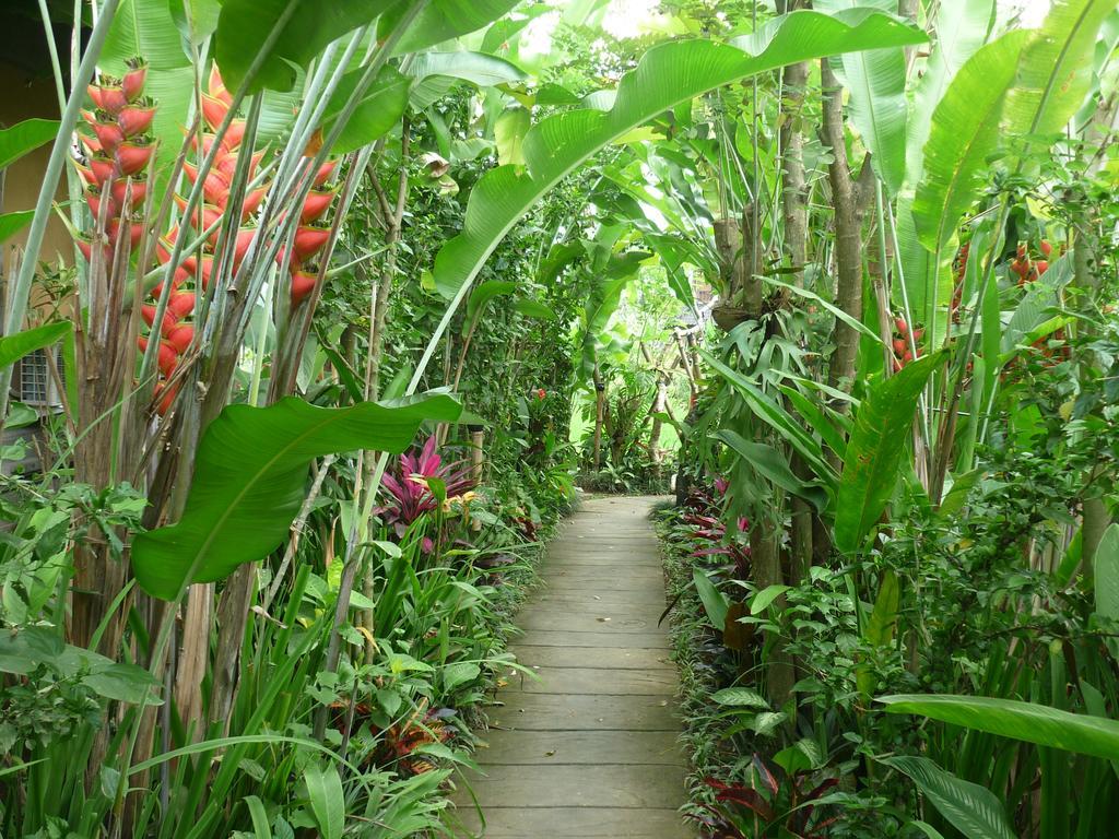 Bliss Ubud Spa Resort