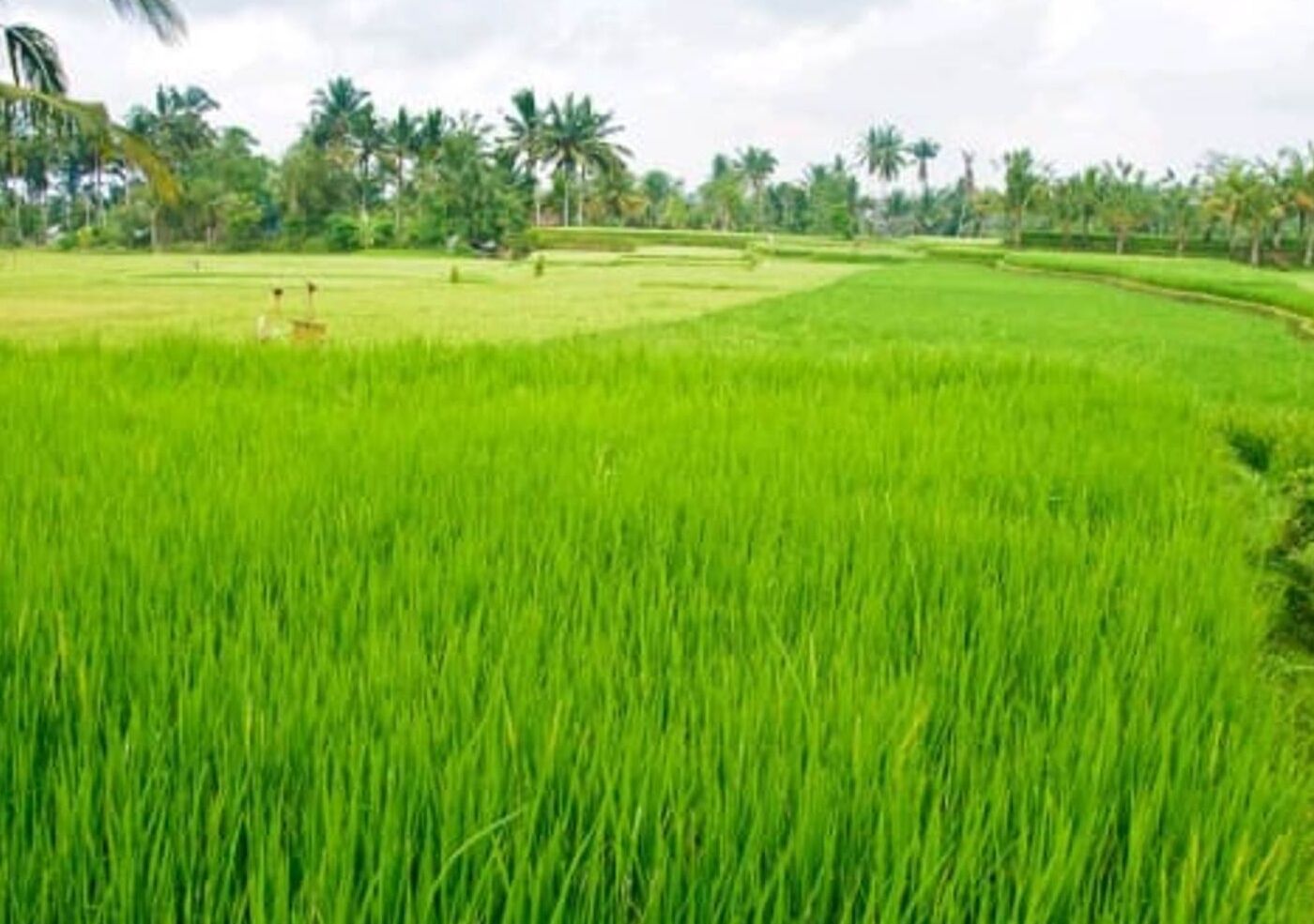 Bramasa Guest House