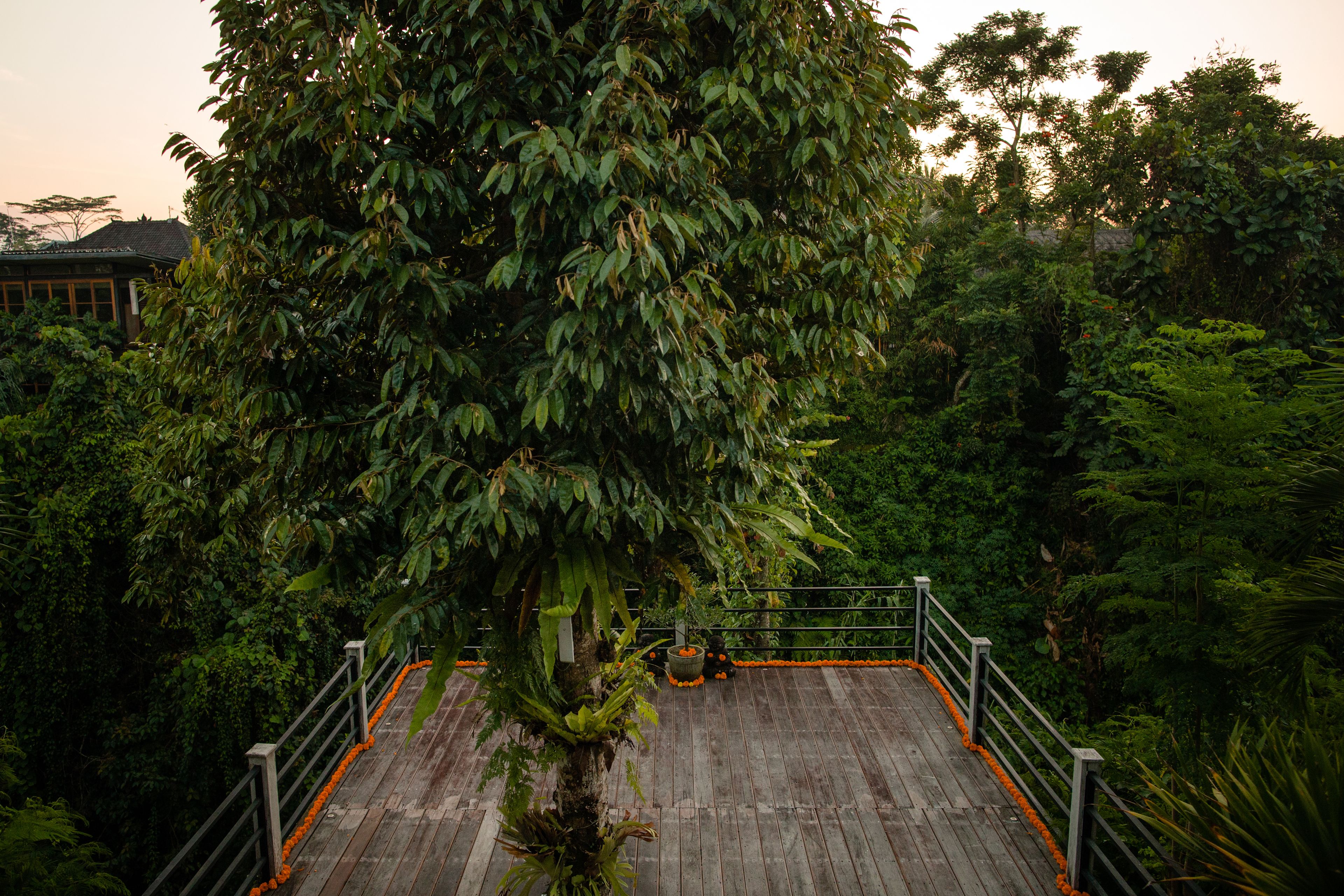 B Saya Villa
