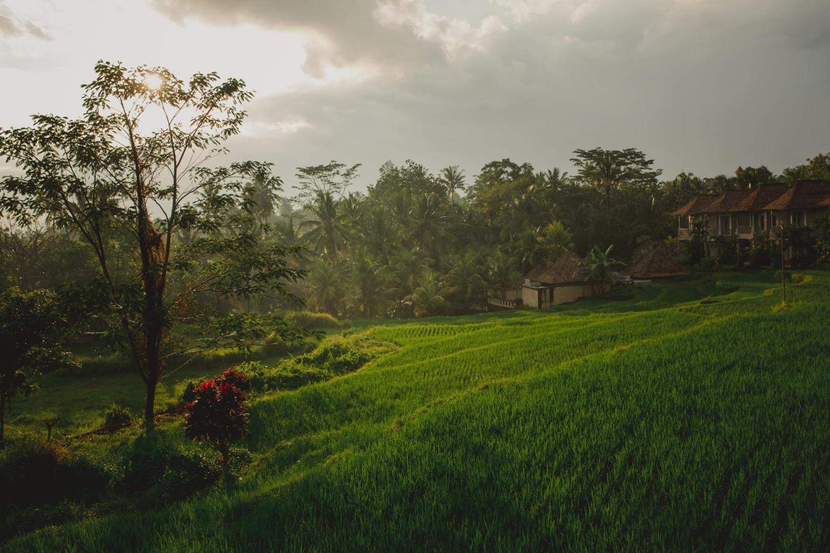 B Saya Villa