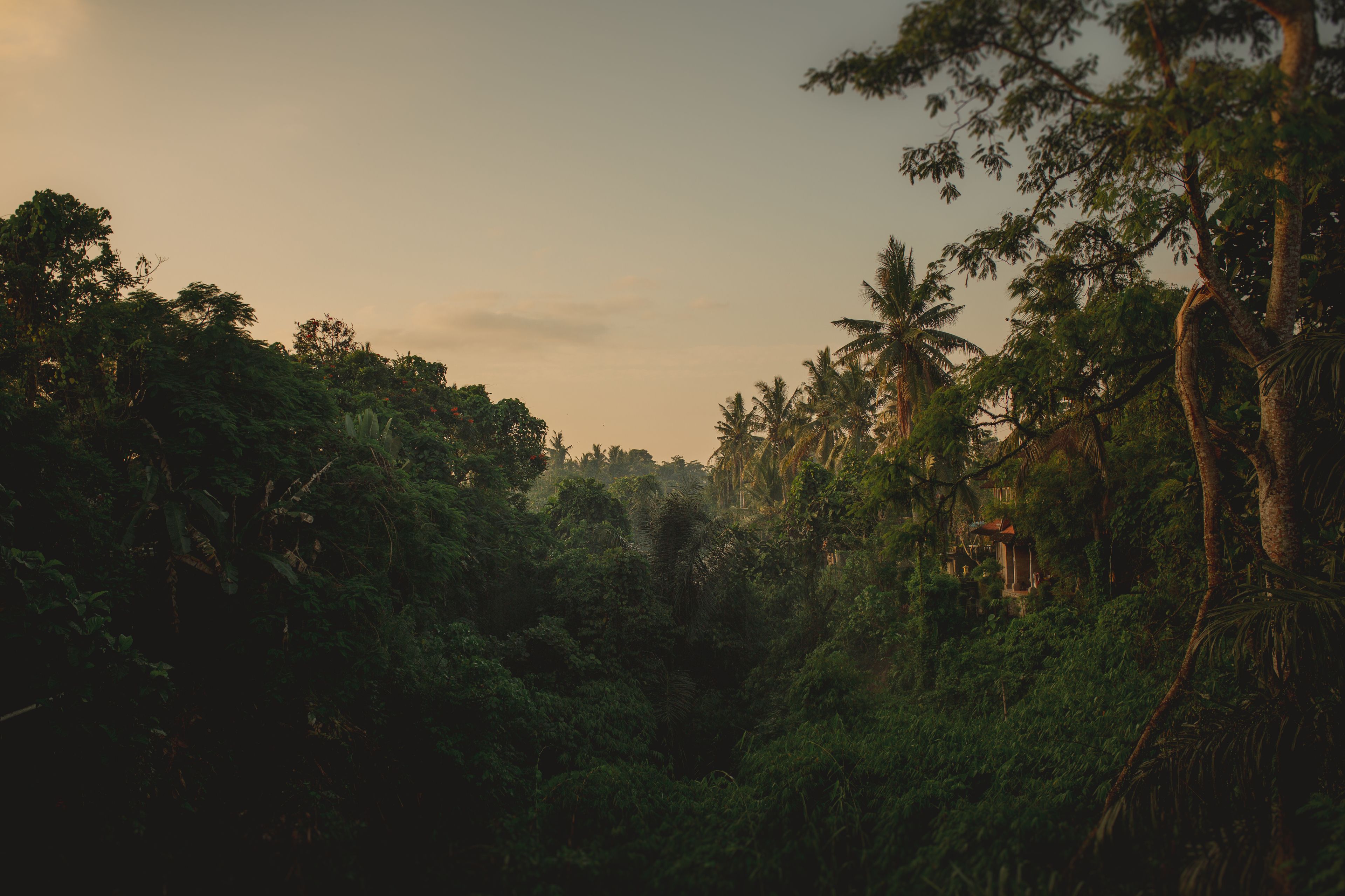 B Saya Villa