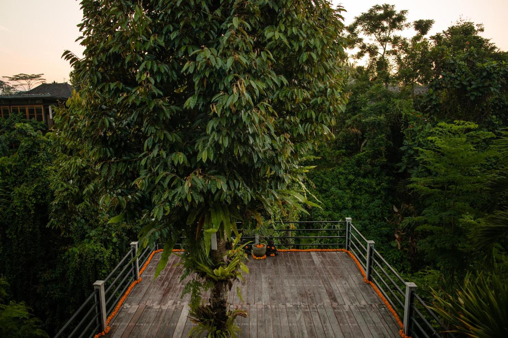 B Saya Villa