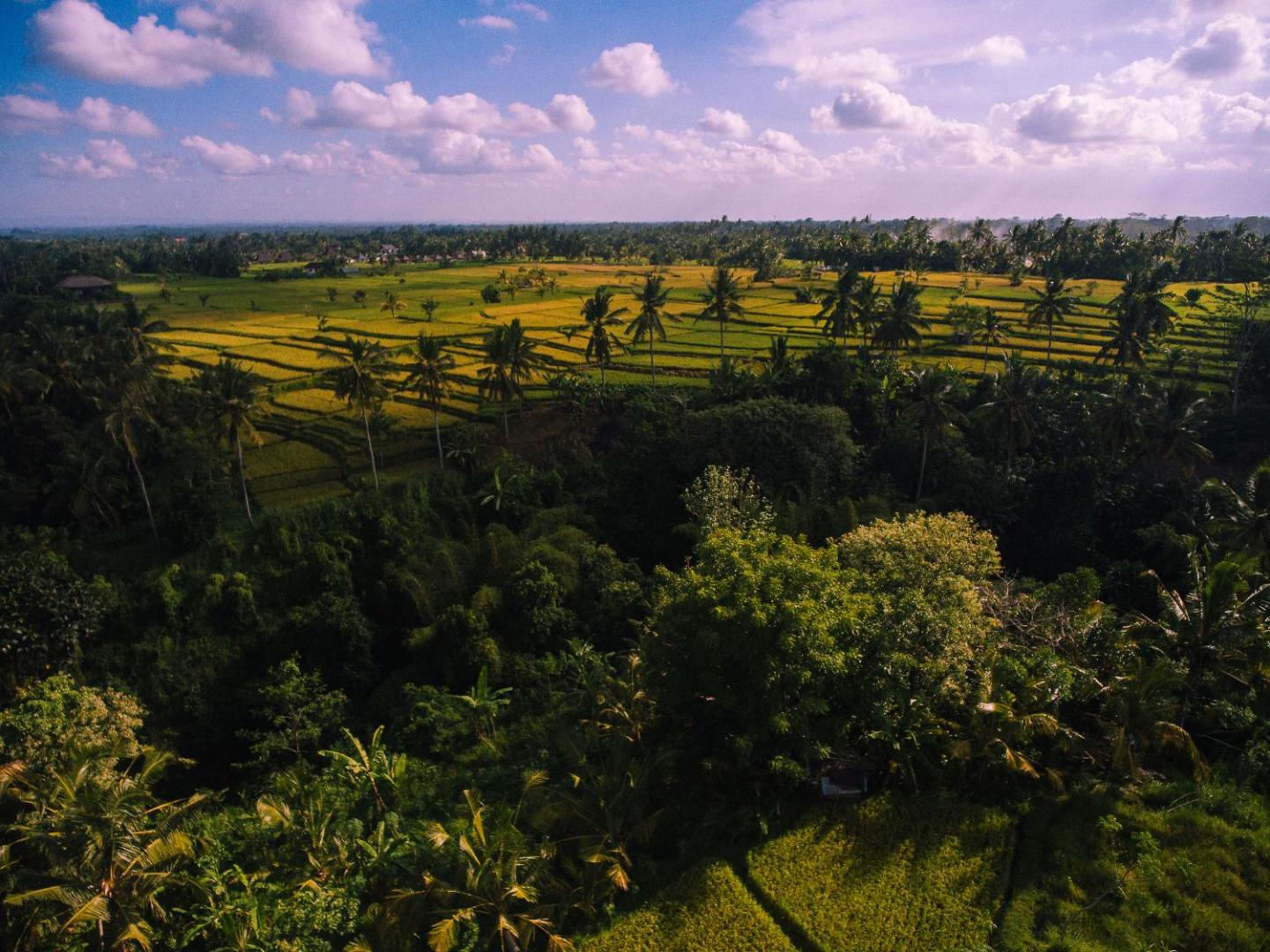 B Saya Villa