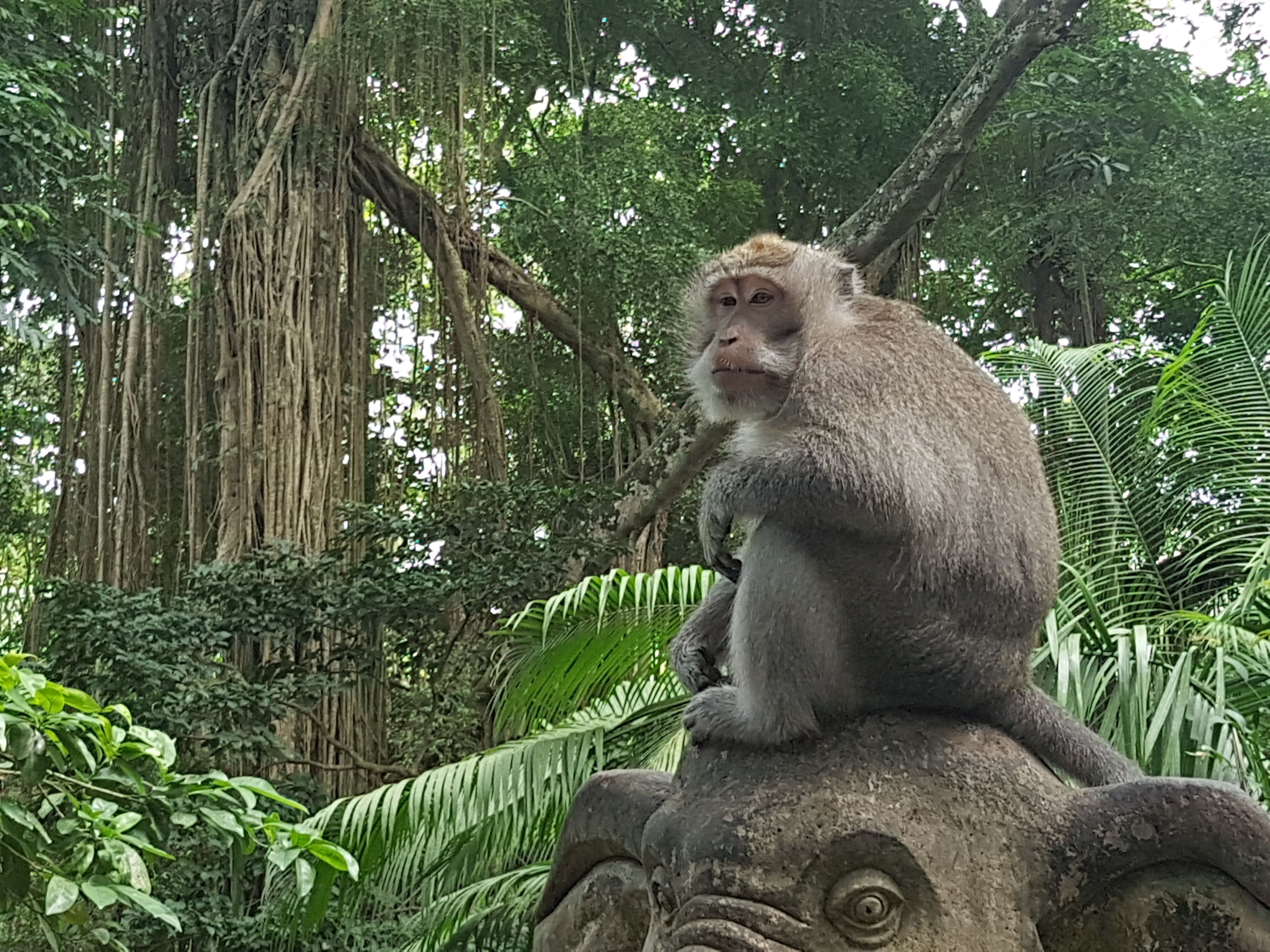 Buda Cottage Ubud