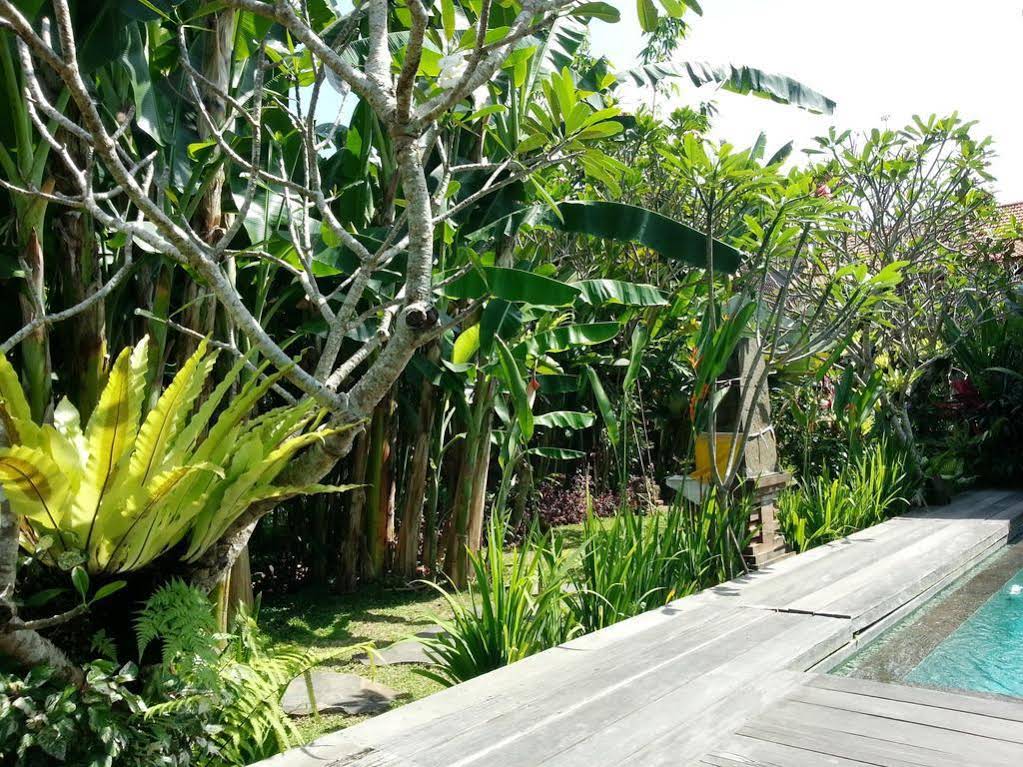 Bumi Muwa
