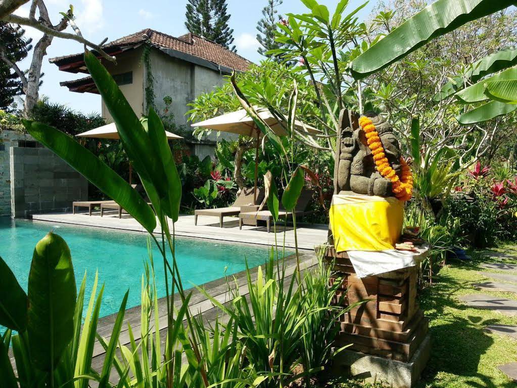 Bumi Muwa