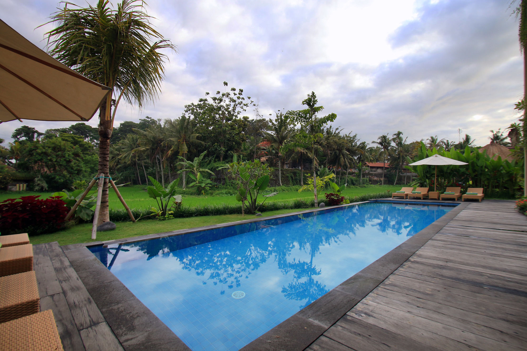 Byasa Ubud