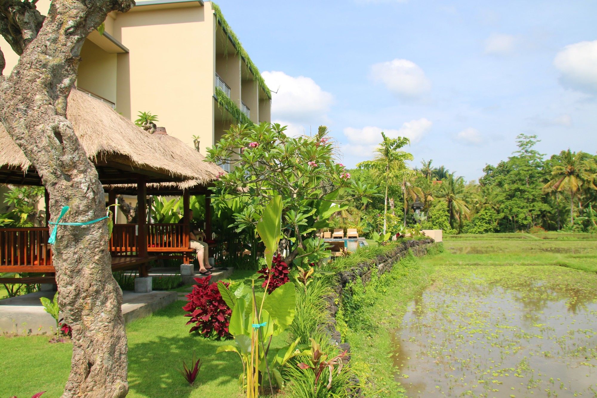 Byasa Ubud