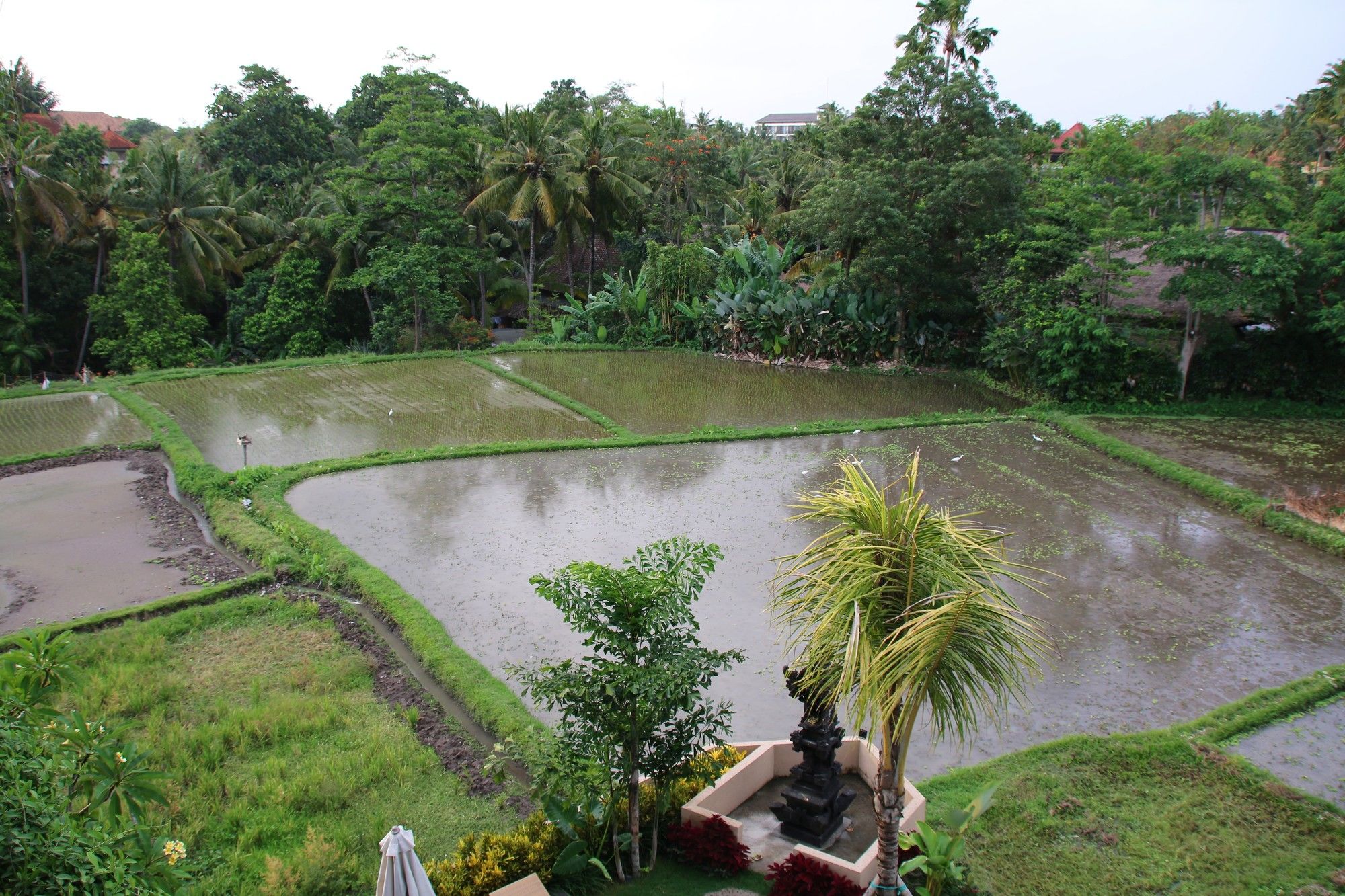 Byasa Ubud