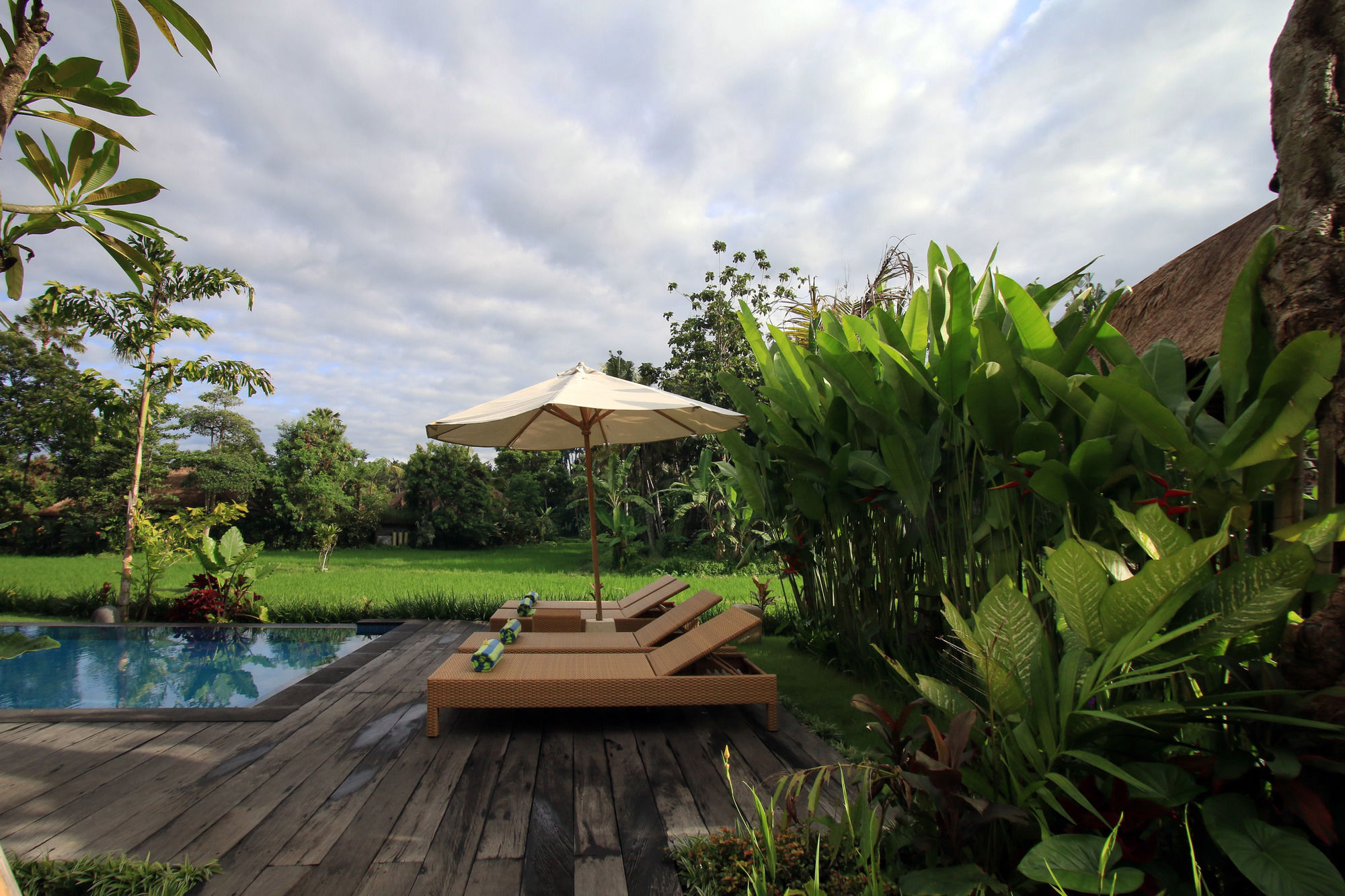 Byasa Ubud
