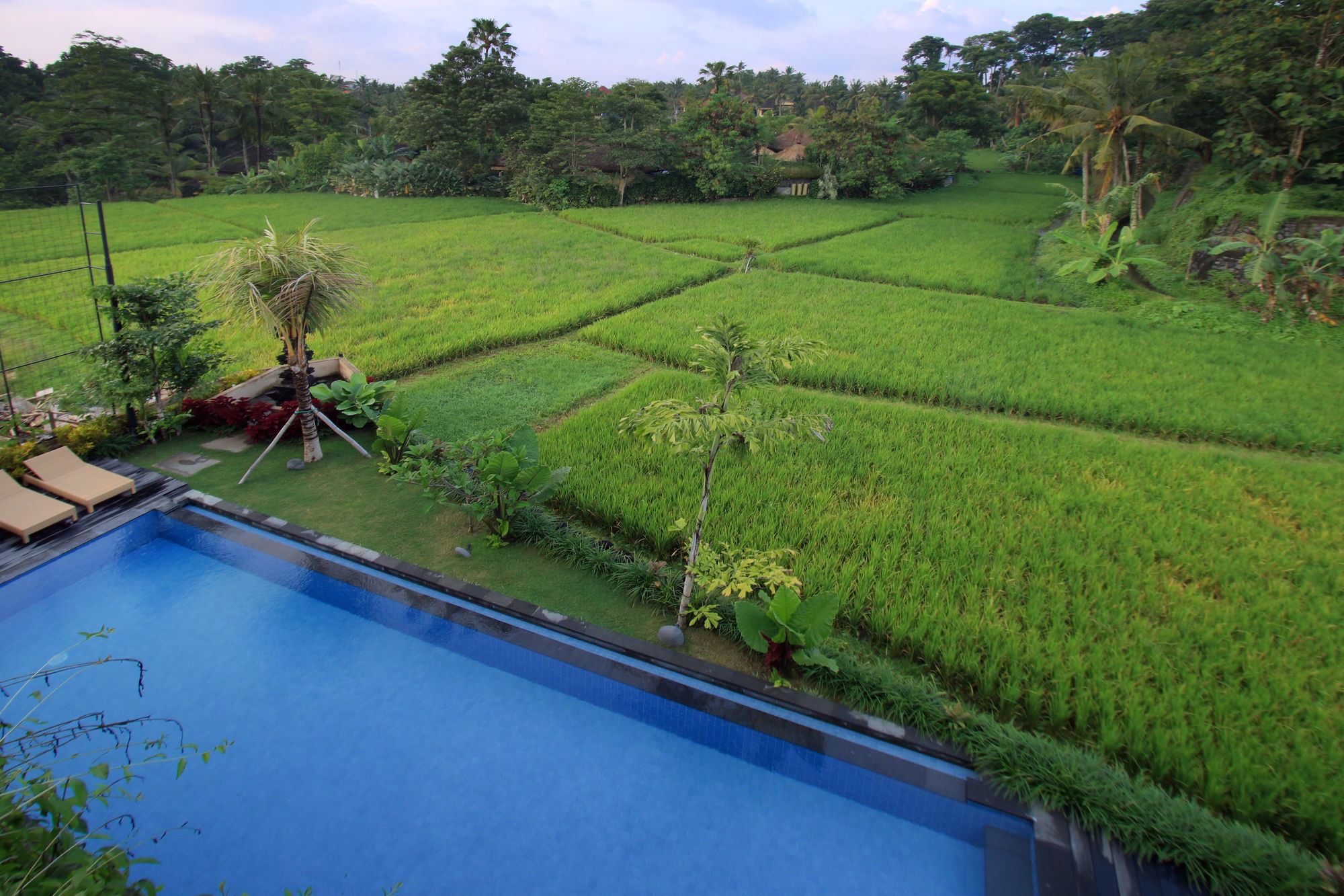 Byasa Ubud