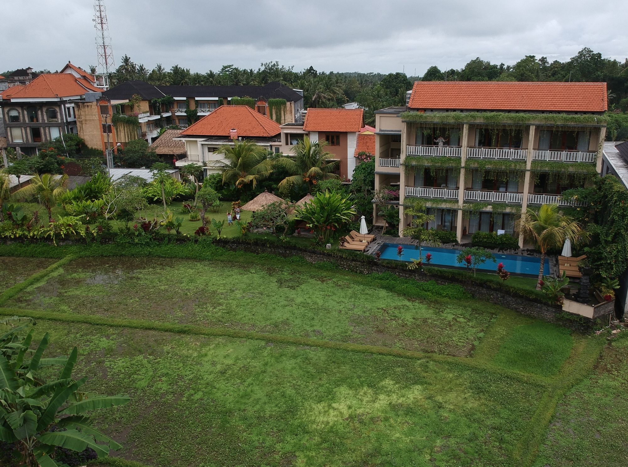 Byasa Ubud