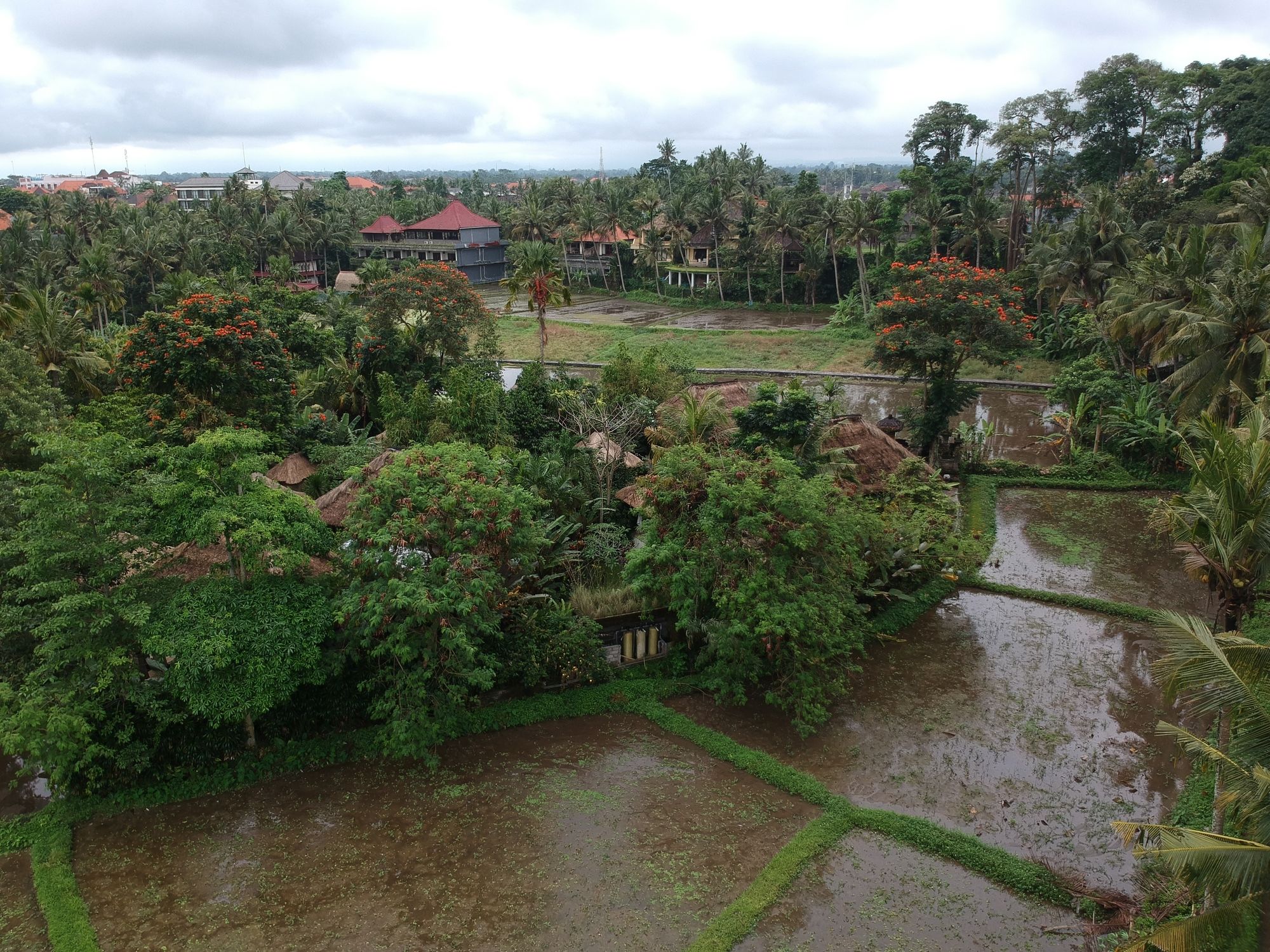 Byasa Ubud