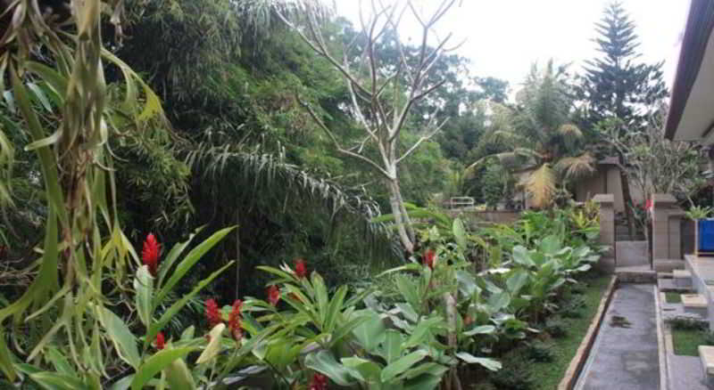 Citrus Tree B&B Widia