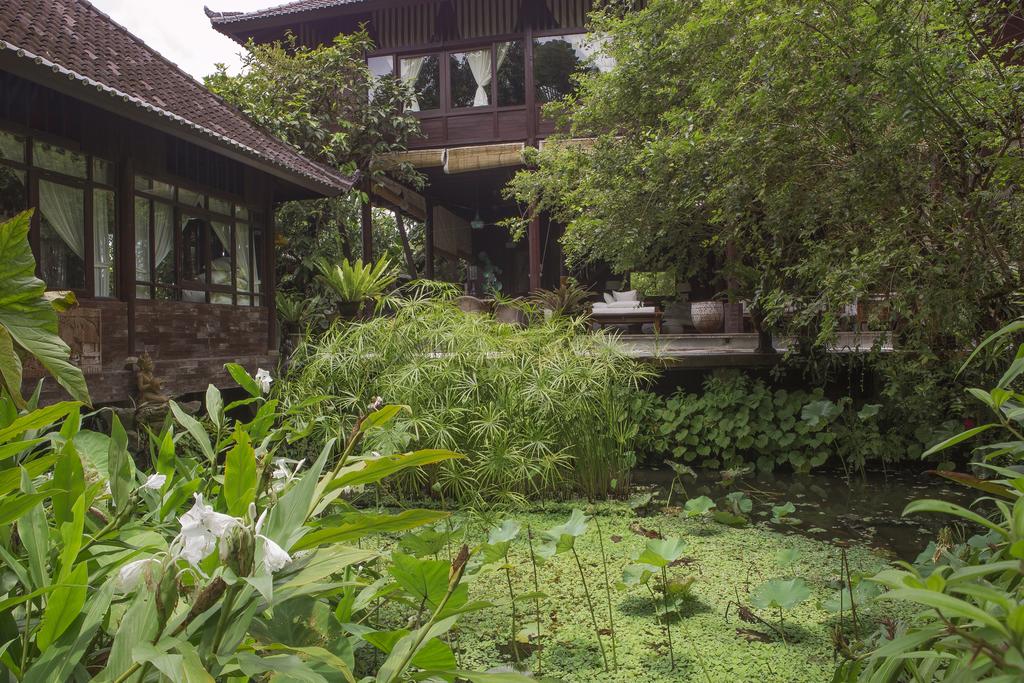 Citrus Tree Villas - Jean Francois