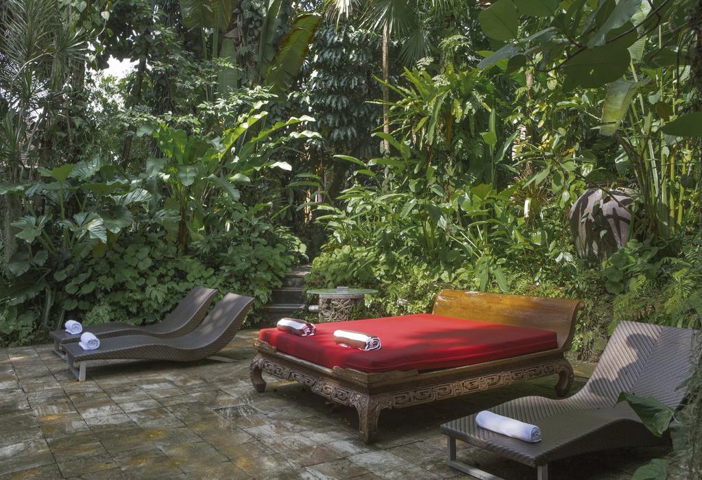 Citrus Tree Villas - Jean Francois