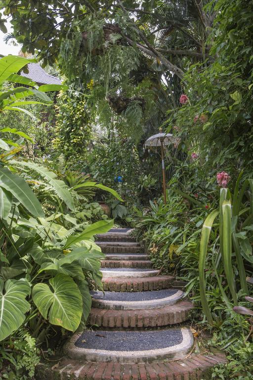 Citrus Tree Villas - Jean Francois