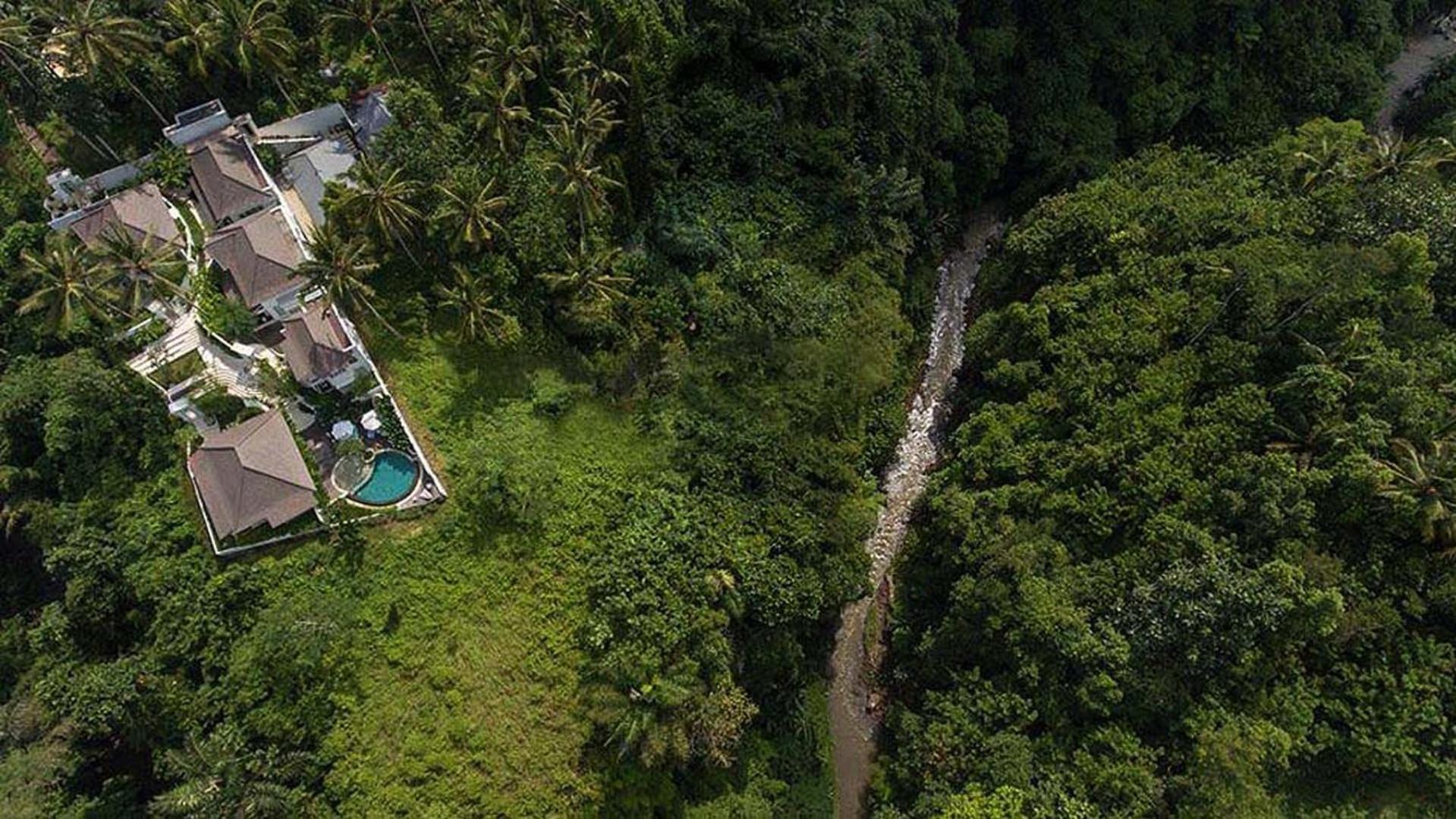 Cloud Nine Estate