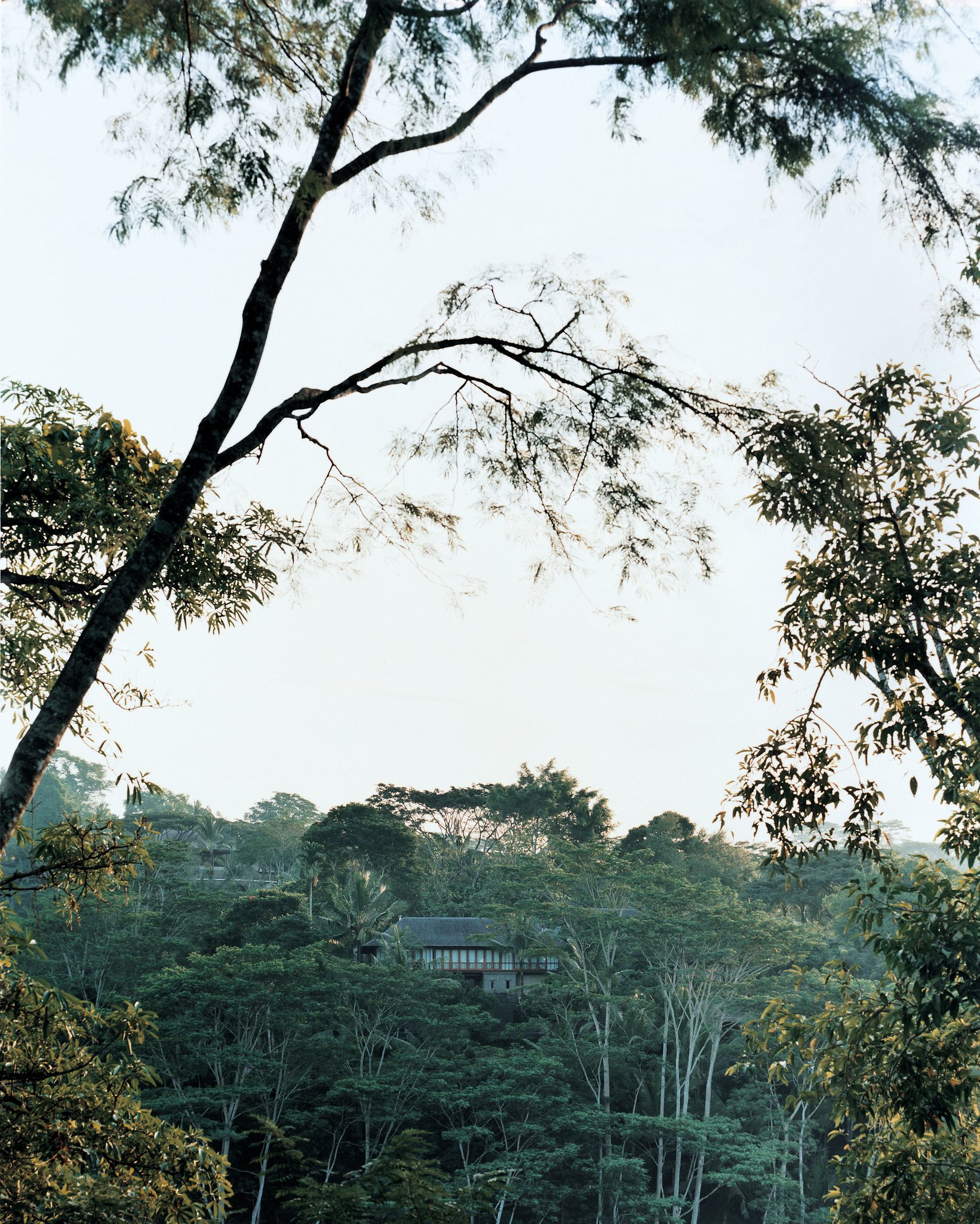 COMO Shambhala Estate