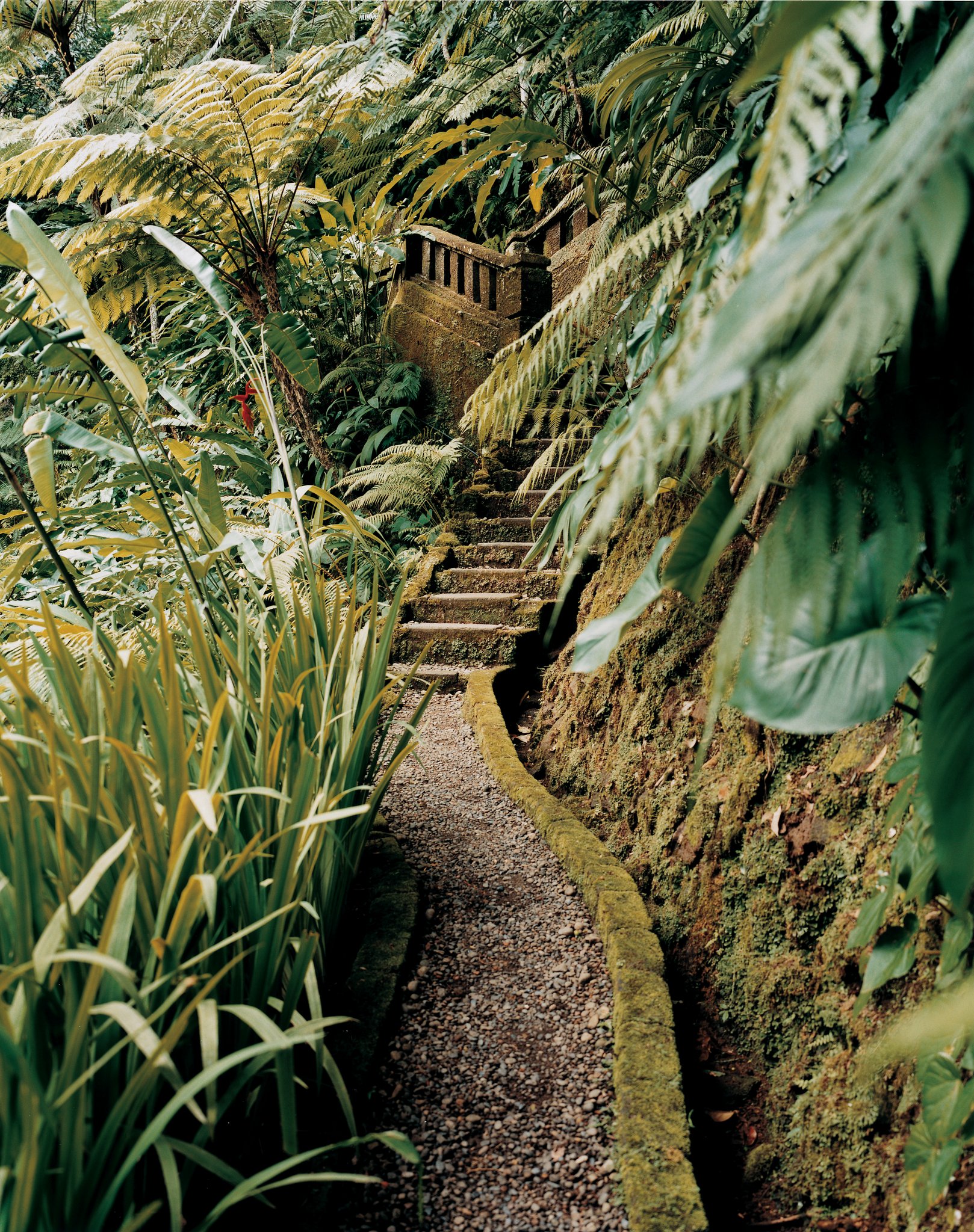 COMO Shambhala Estate