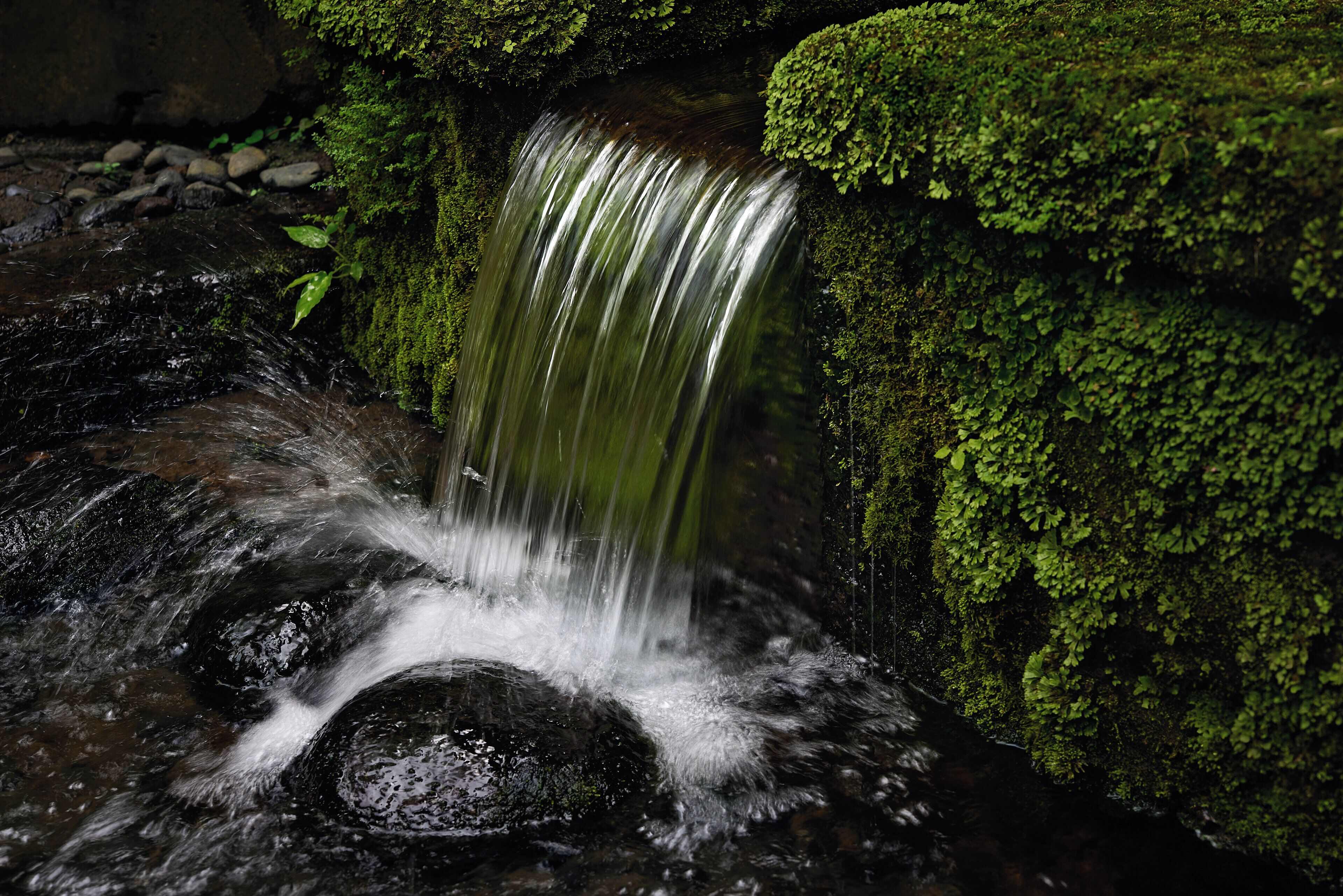 COMO Shambhala Estate