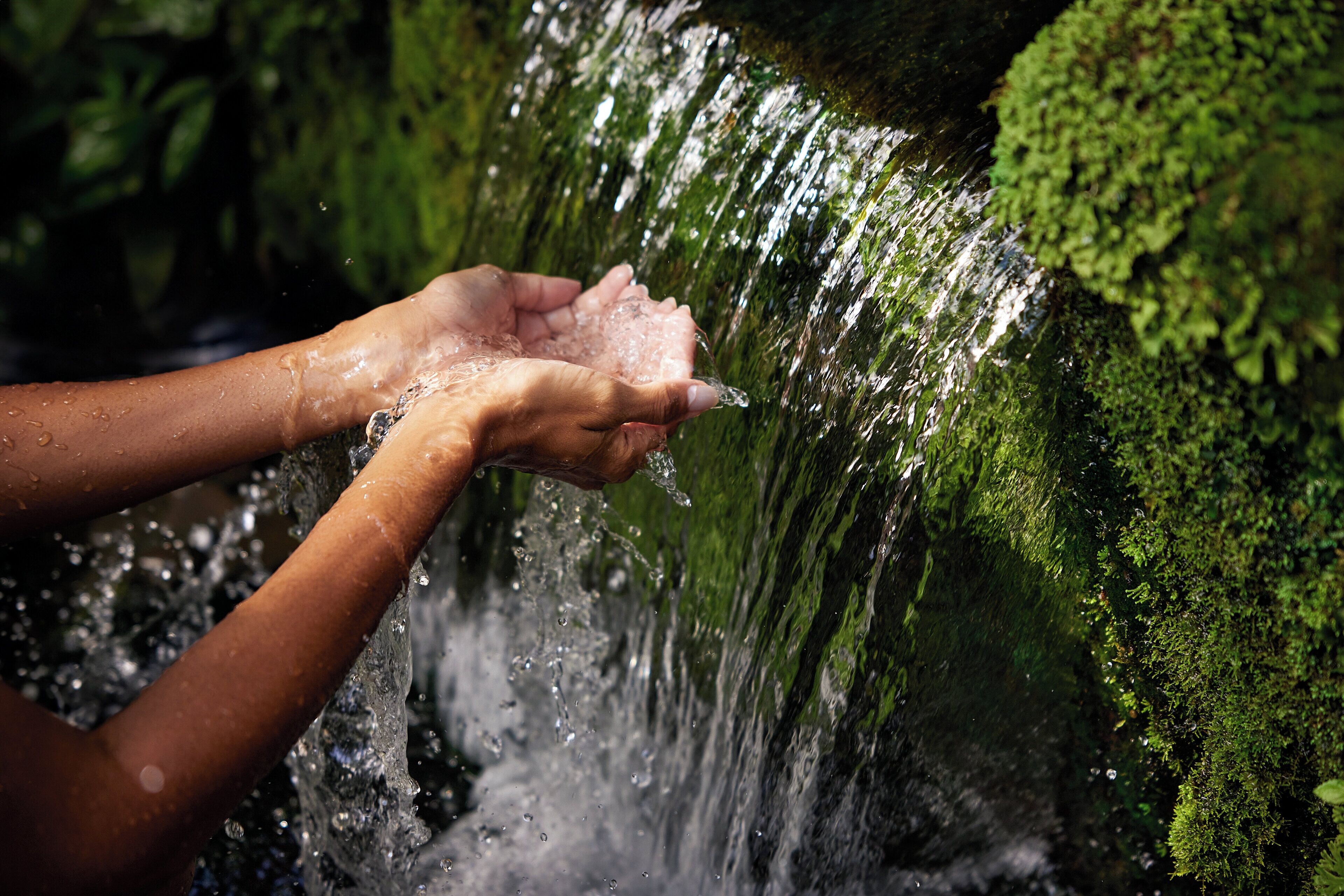 COMO Shambhala Estate