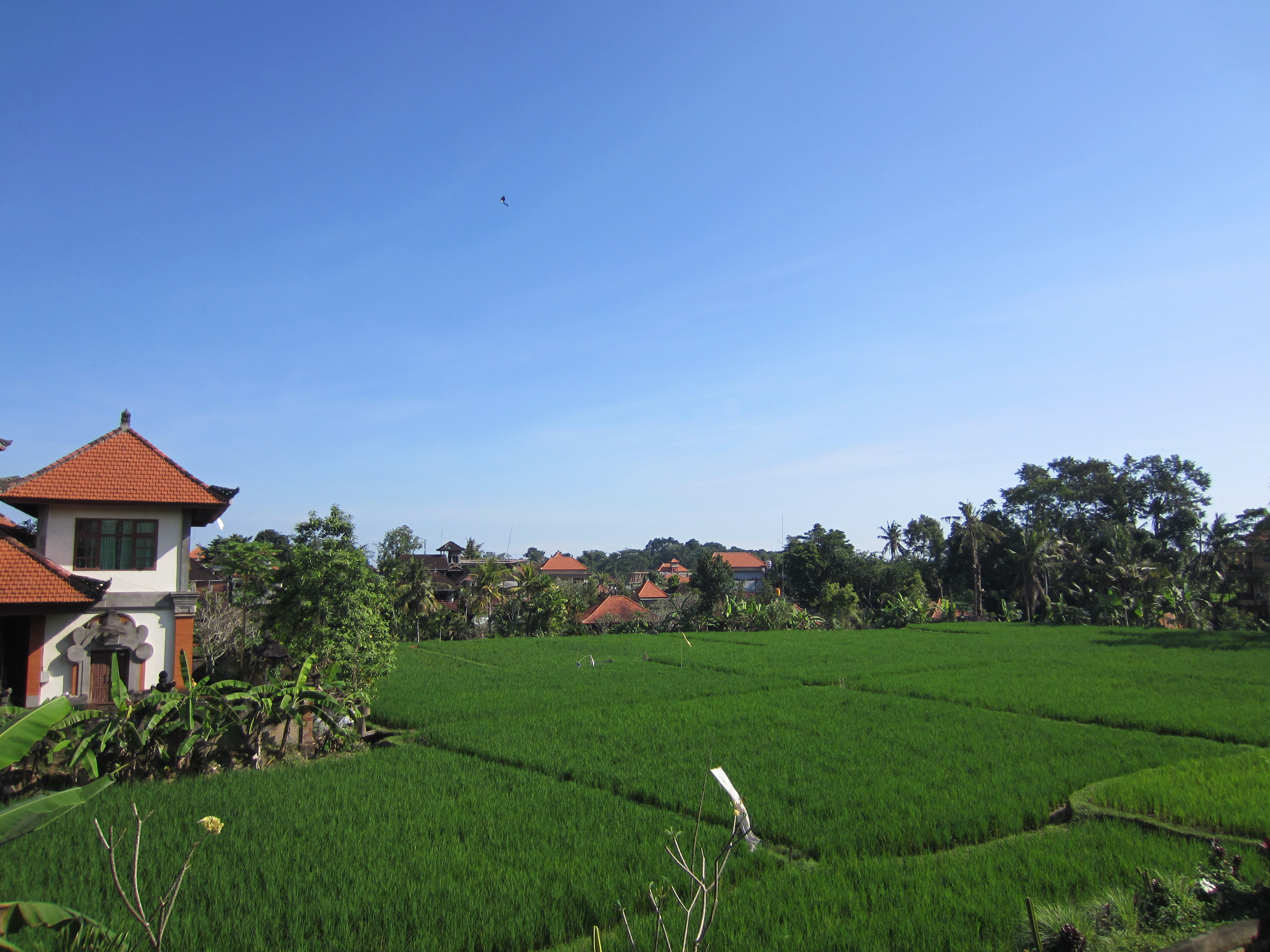 Danasari Homestay