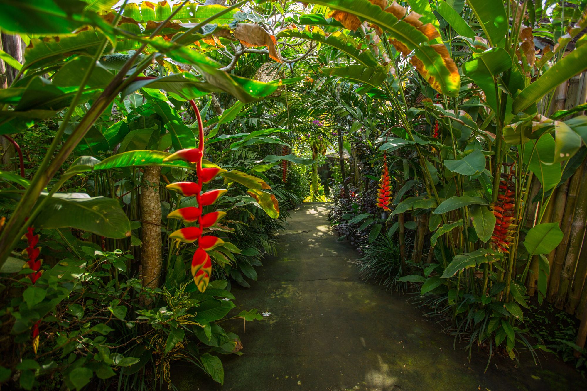 D'Bale Ananda Ubud Villa