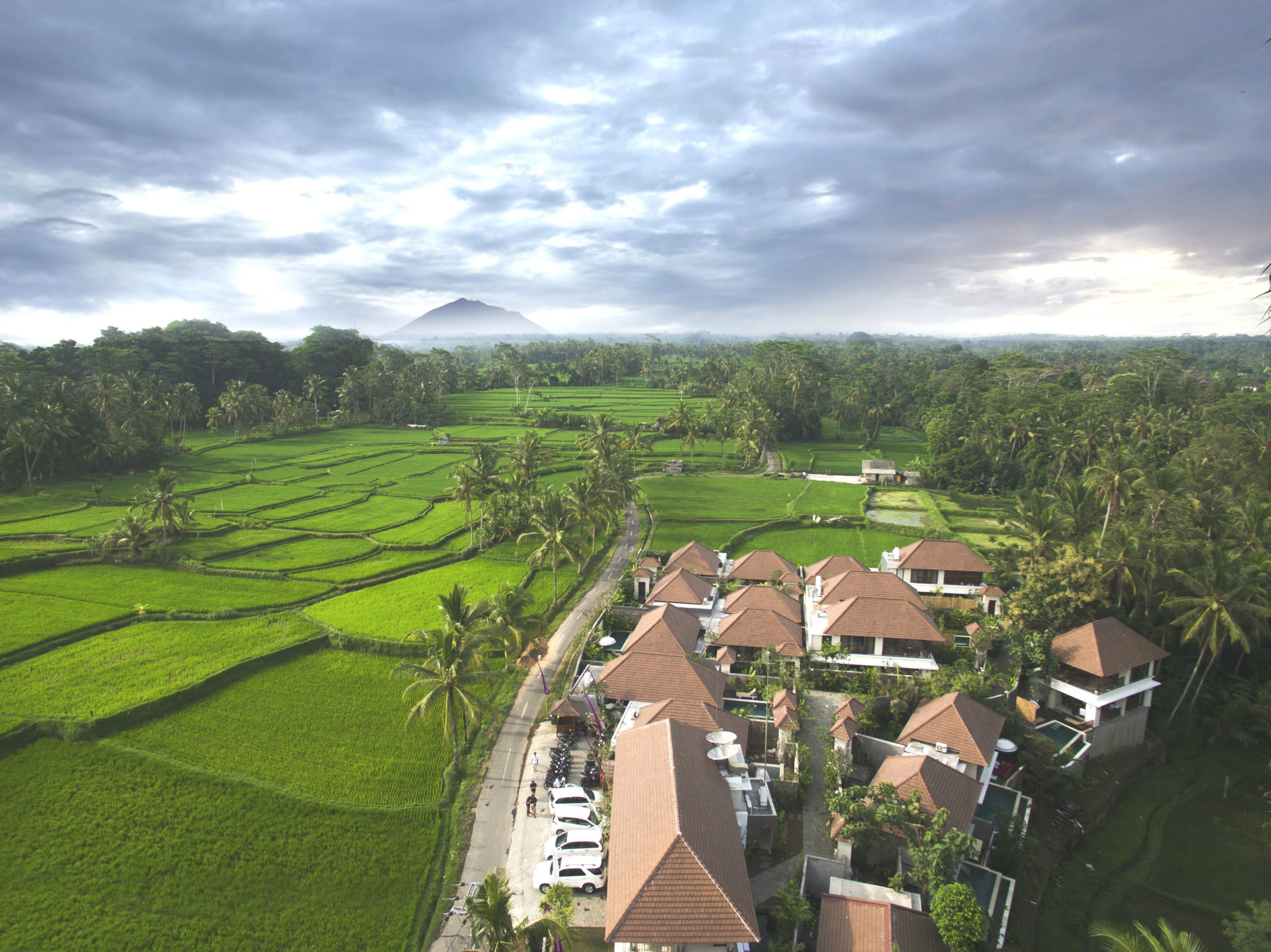 Dedary Resort Ubud