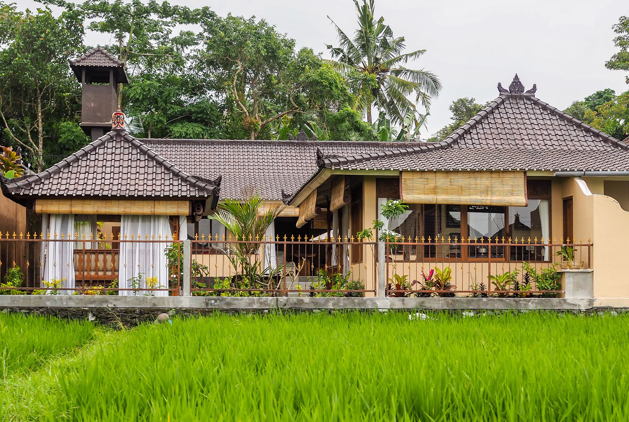 Devi's Place