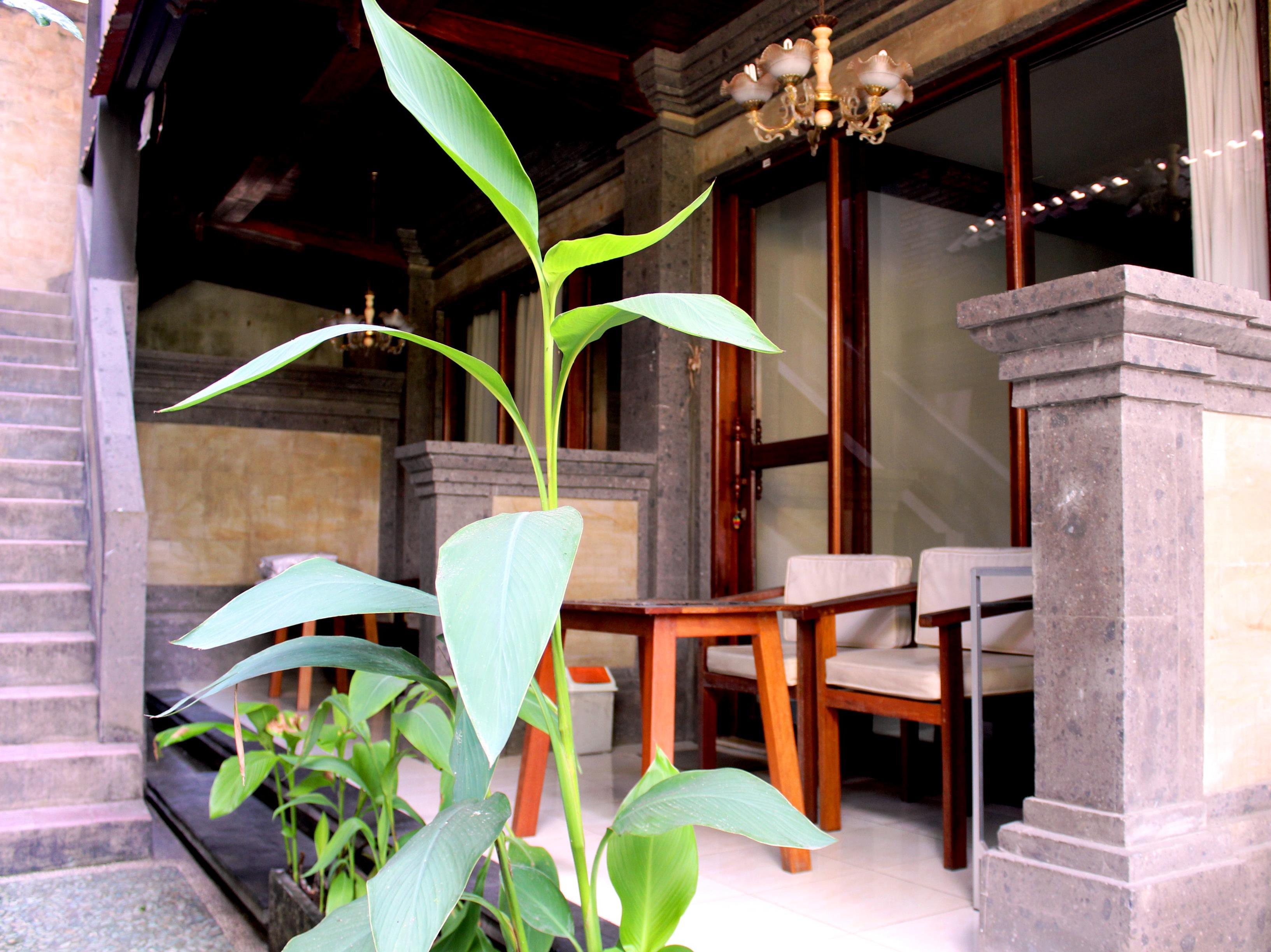 Dewa Bungalow