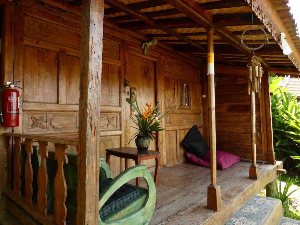 Dragonfly Village