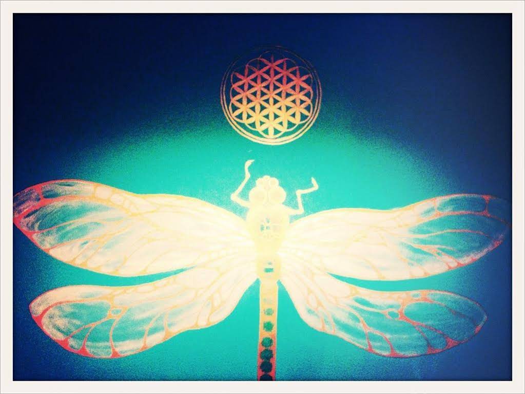 Dragonfly Village