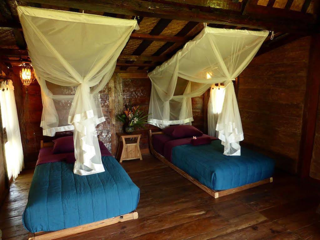 Dragonfly Village