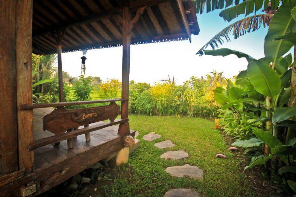 Dragonfly Village