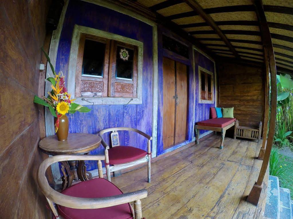 Dragonfly Village